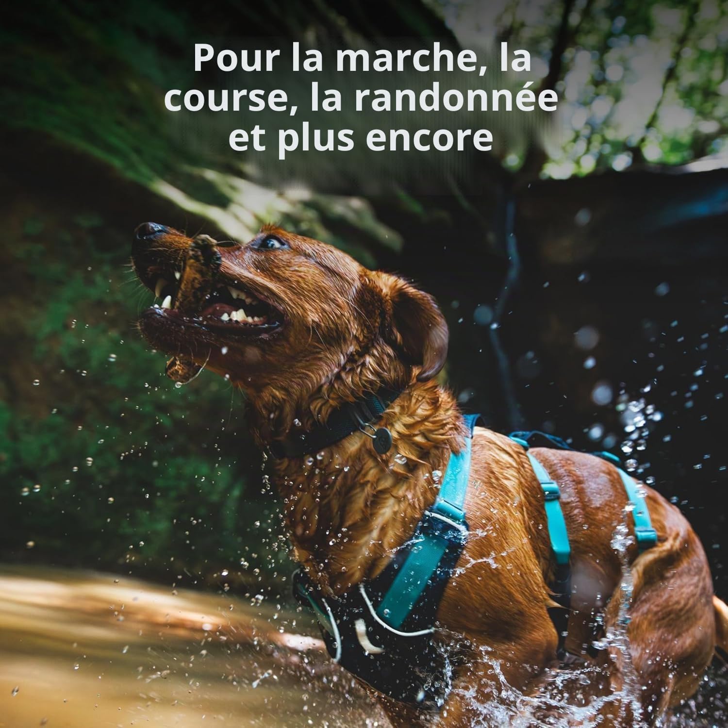 ruffwear-flagline-harnais-pour-chien-avec-poign-e-sangle-renforc-e image 3