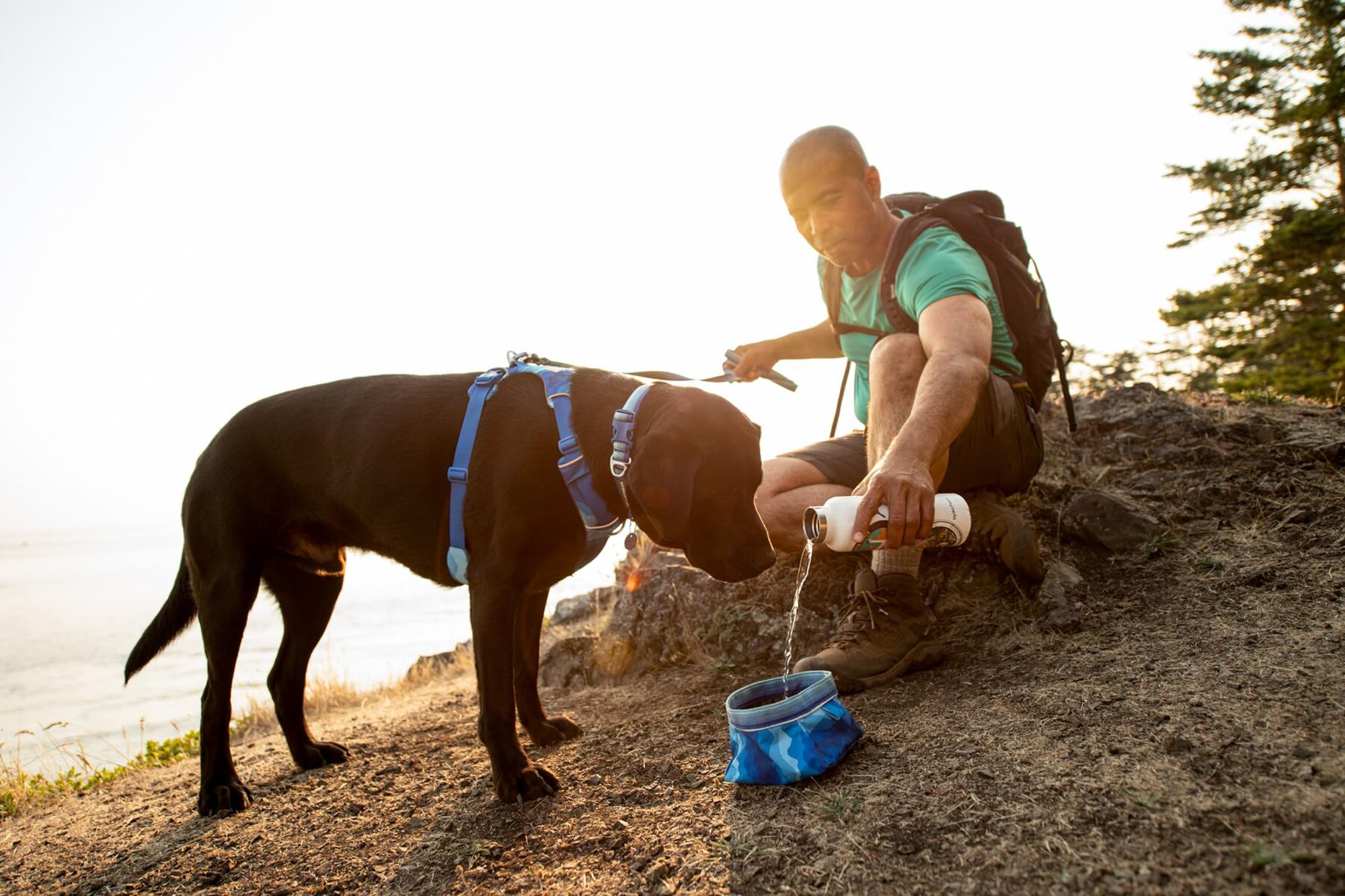 ruffwear-quencher-gamelle-pliable-pour-chien-moonlight-mountains-taille-m image 8