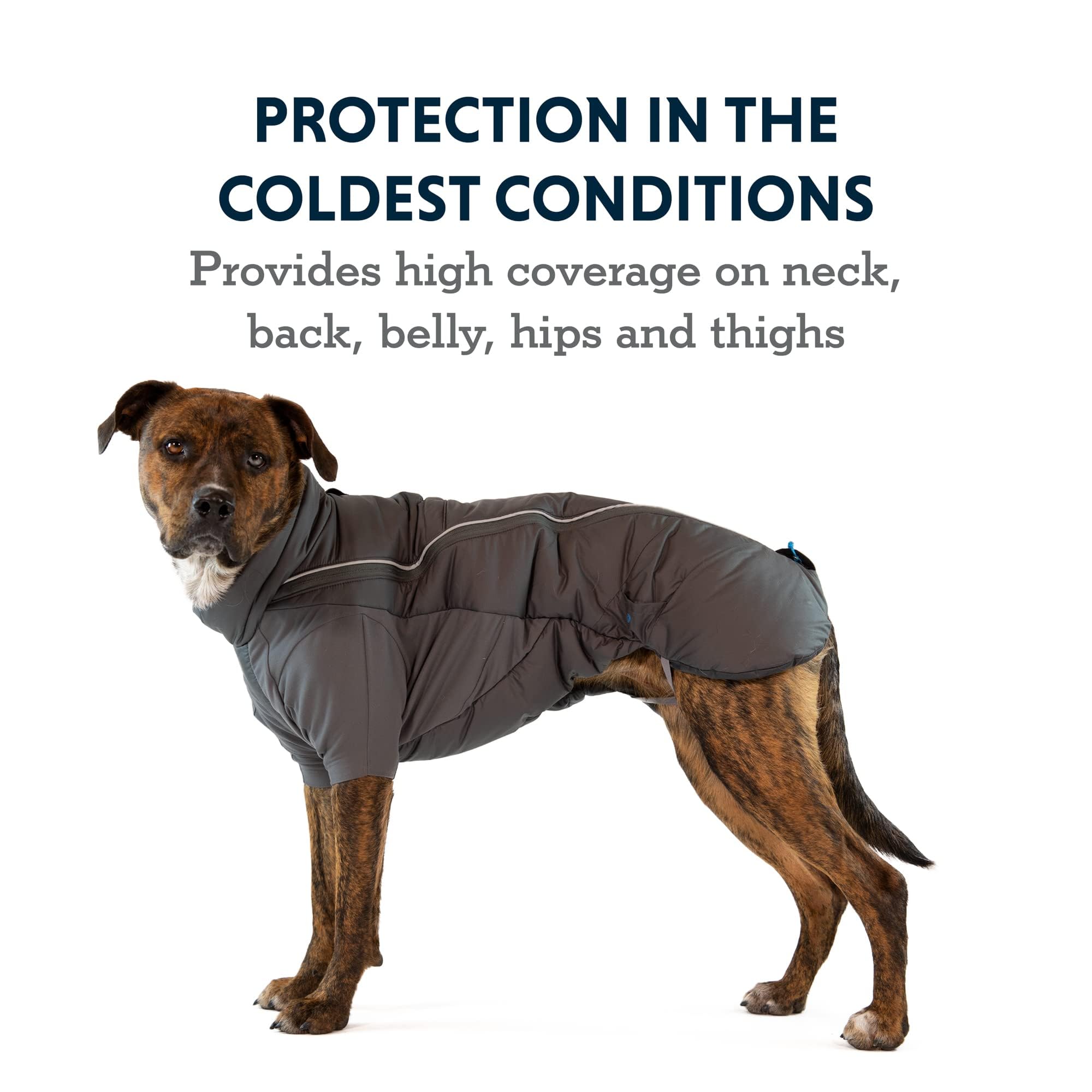 ruffwear-furness-veste-parka-grand-froid-pour-chien image 3