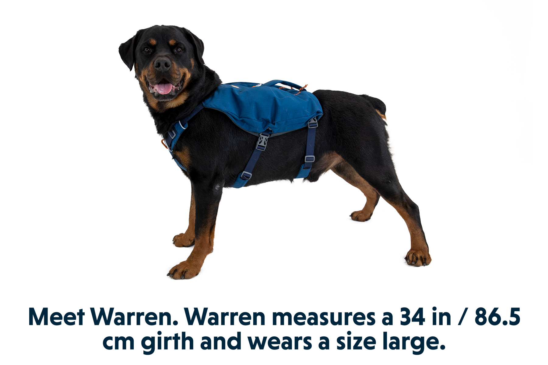 ruffwear-switchbak-harnais-pour-chien-avec-poches image 3