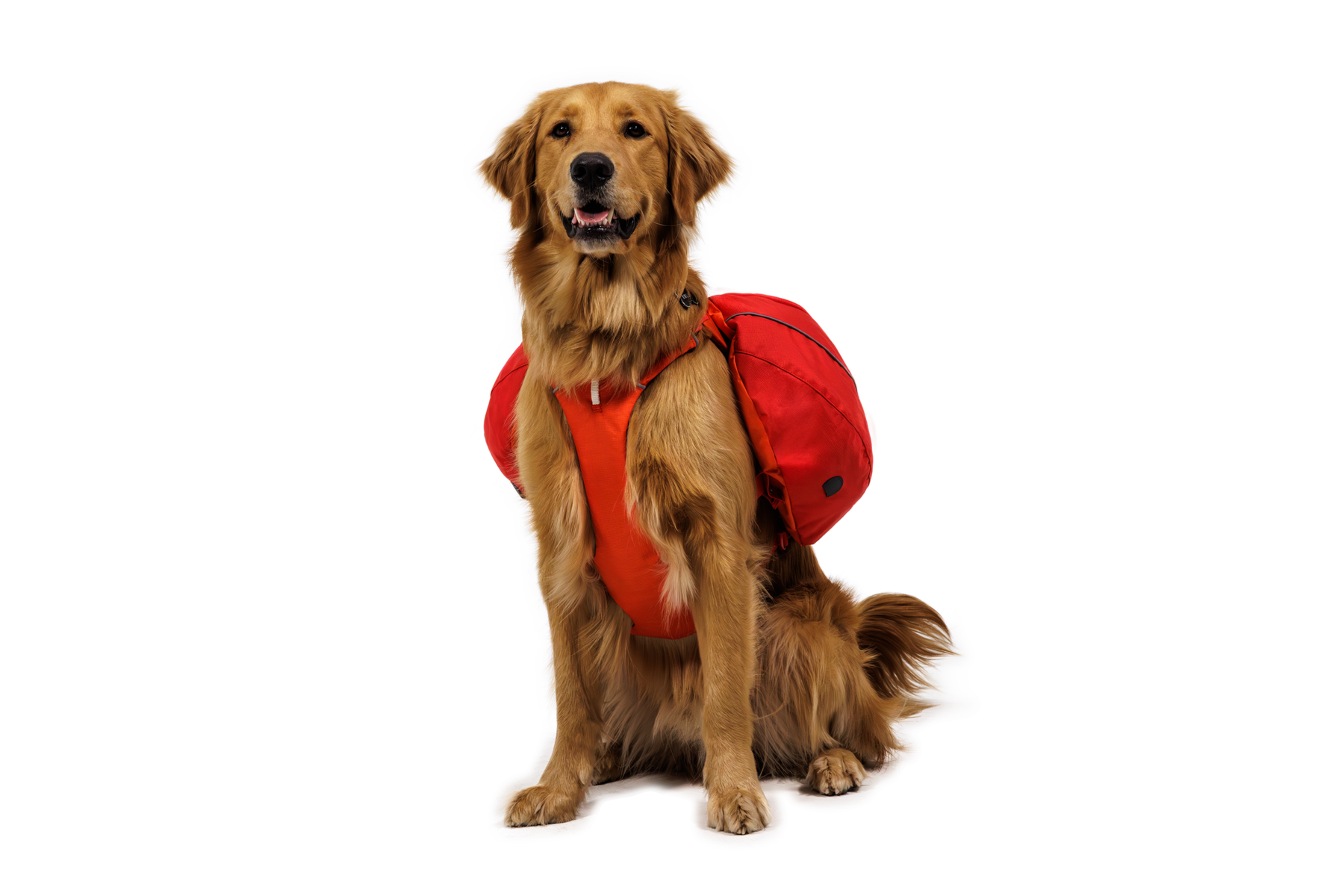 ruffwear-palisades-pack-sac-dos-grand-trek-amovible image 8