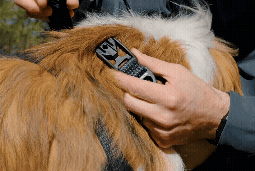 ruffwear-ridgeline-collier-pour-chien image 4