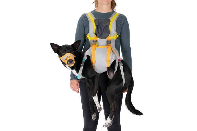 ruffwear-backtrak-kit-d-vacuation-pour-chien-gilet-portage-museli-re image 1