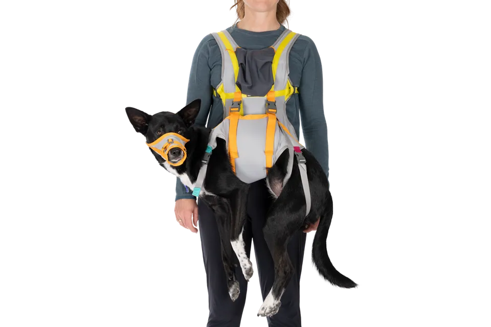 ruffwear-backtrak-kit-d-vacuation-pour-chien-gilet-portage-museli-re image 1