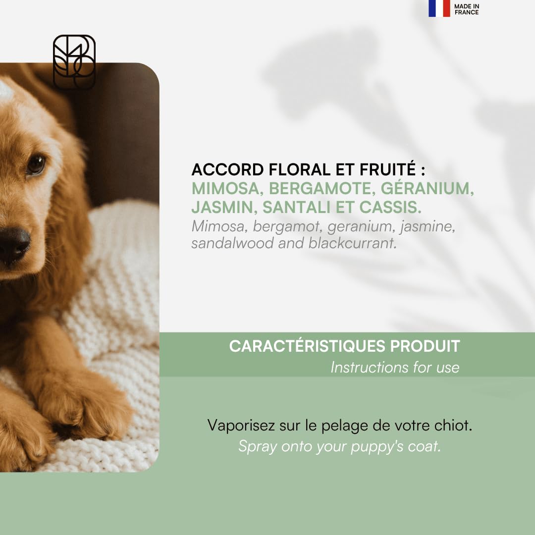 biogance-parfum-spring-sans-alcool-pour-chien-et-chat image 4