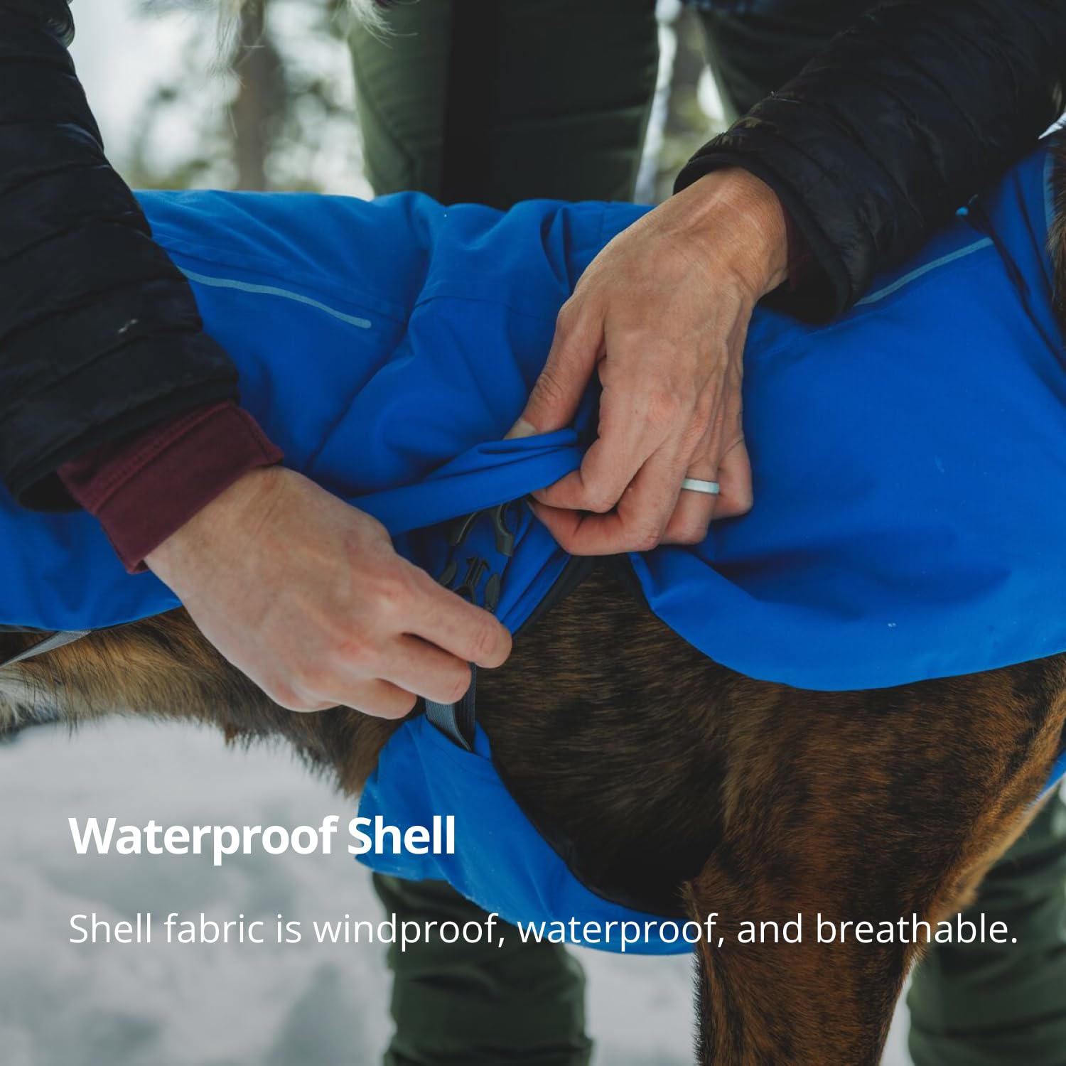 ruffwear-vert-veste-imperm-able-d-hiver-pour-chien-vert image 5