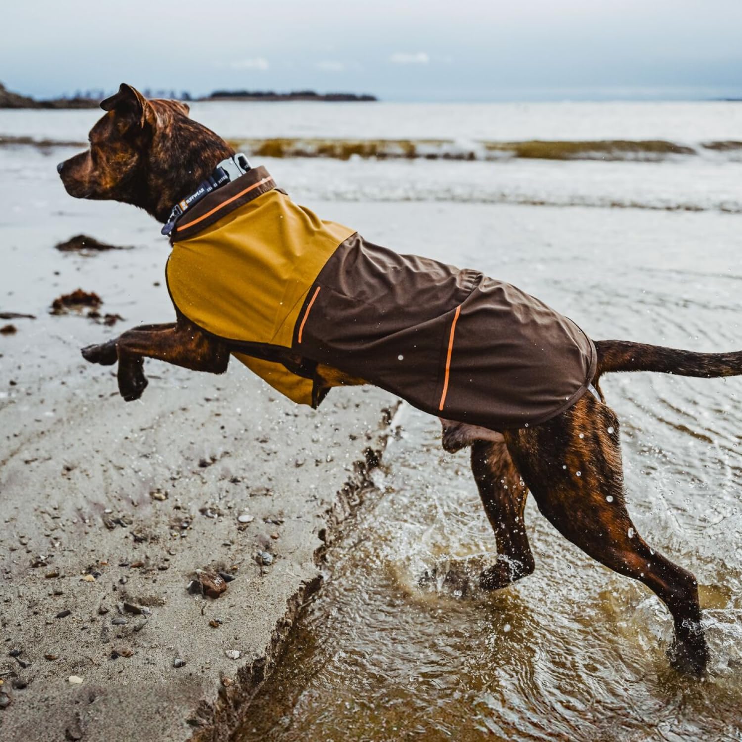ruffwear-sun-shower-veste-pluie-chien-s-jaune-min-ral image 5