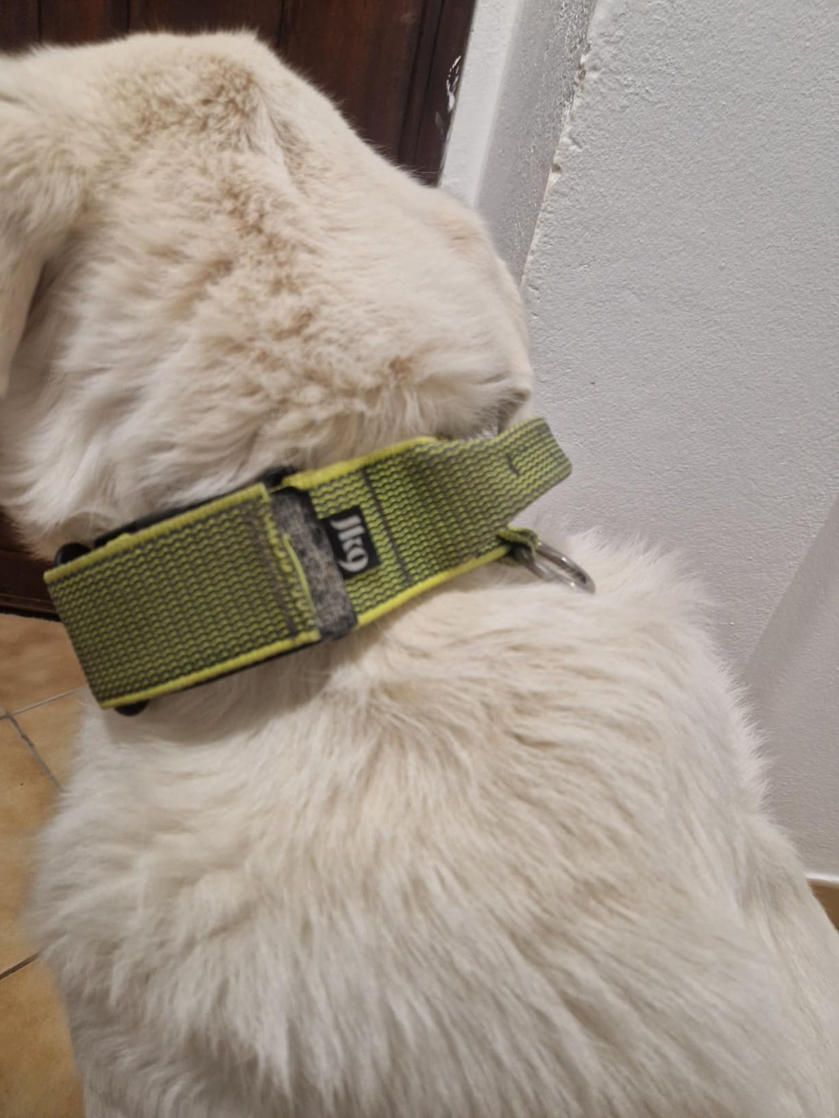 Bien mais taille à vérifier