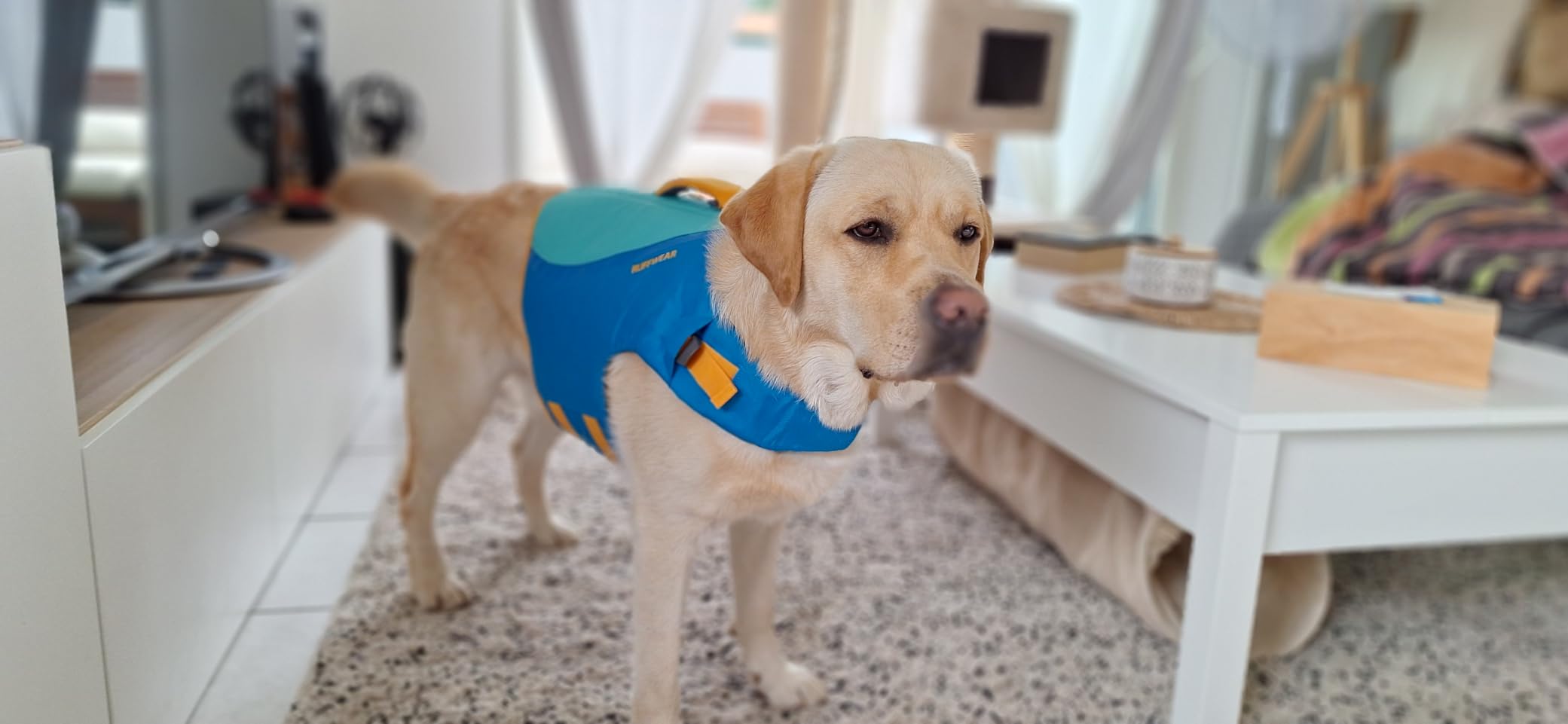 Qualité Ruffwear au top