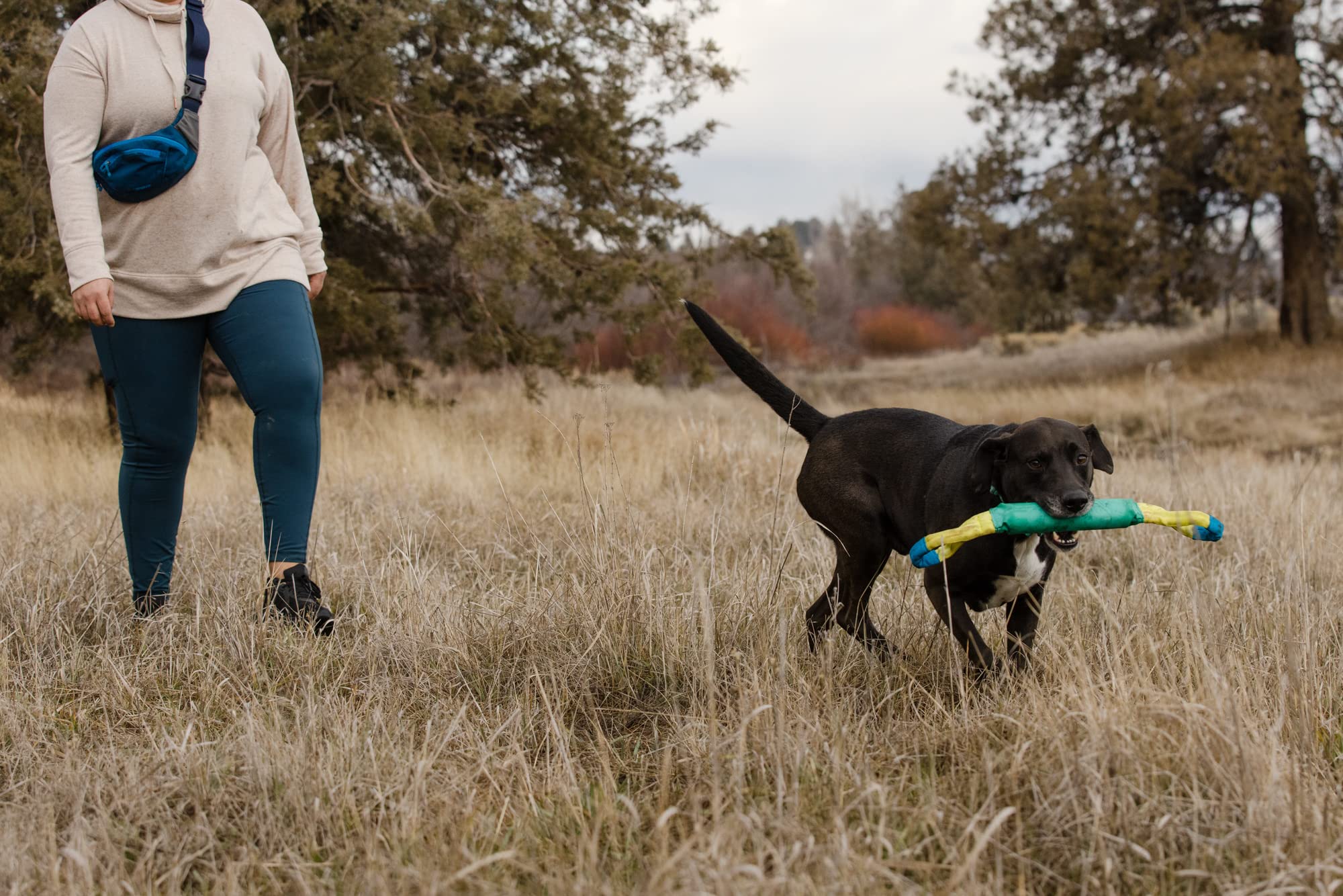 ruffwear-pacific-loop-jouet-de-traction-flottant-bleu-sarcelle-aurore-52-cm image 8