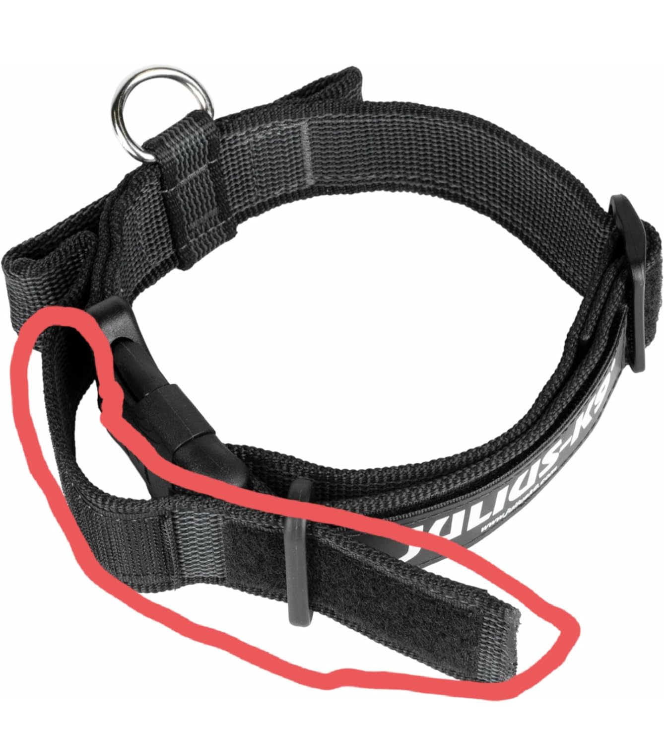 Sécurisant pour les promenades