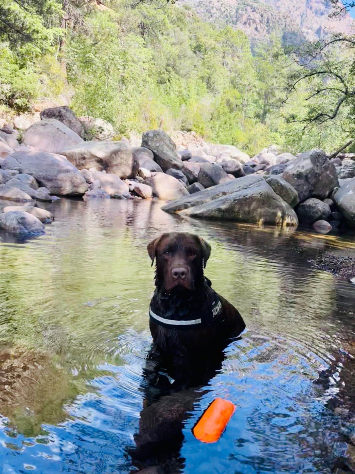 Parfait pour les jeux d'eau