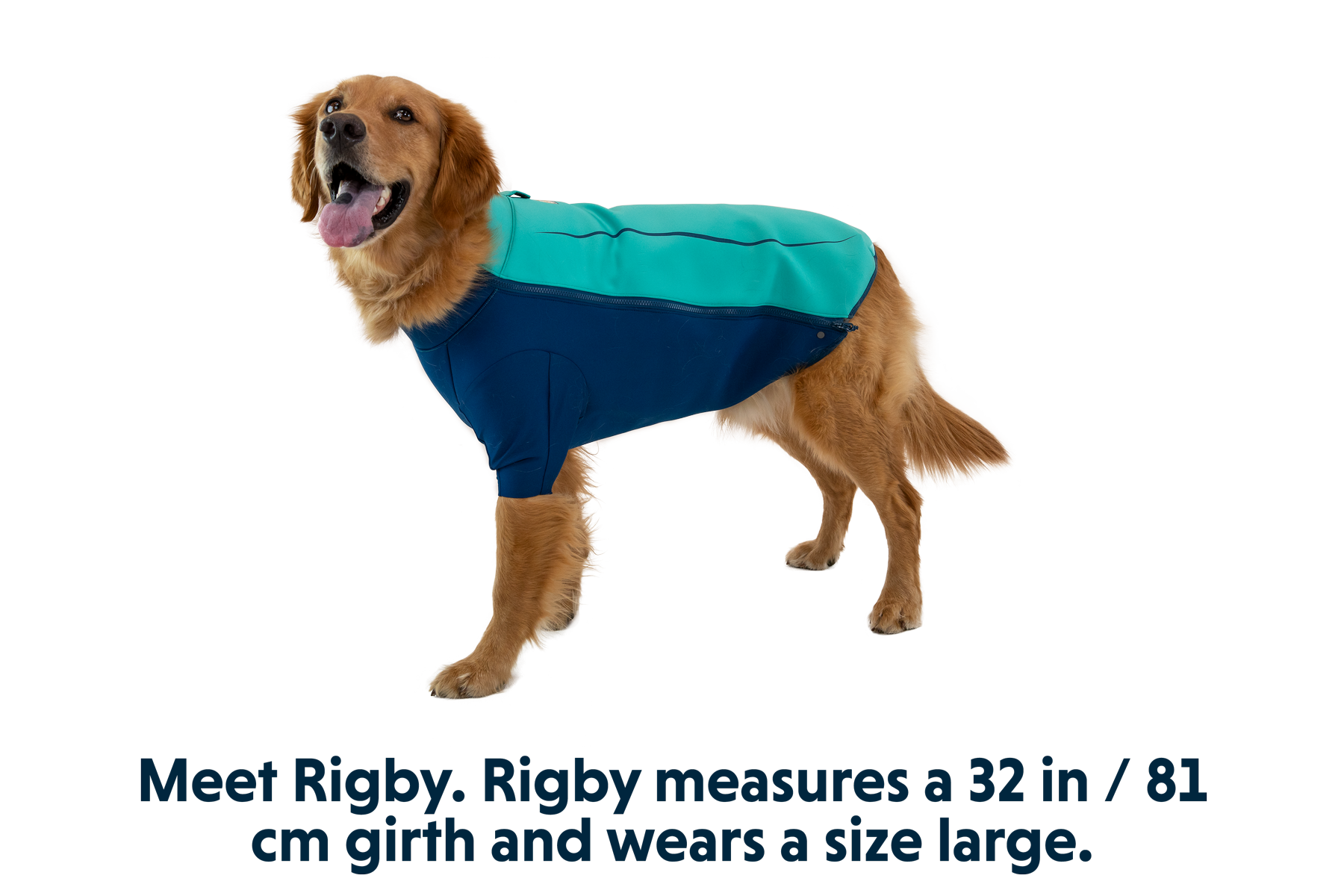 ruffwear-undercoat-veste-n-opr-ne-chien-eau-froide image 2
