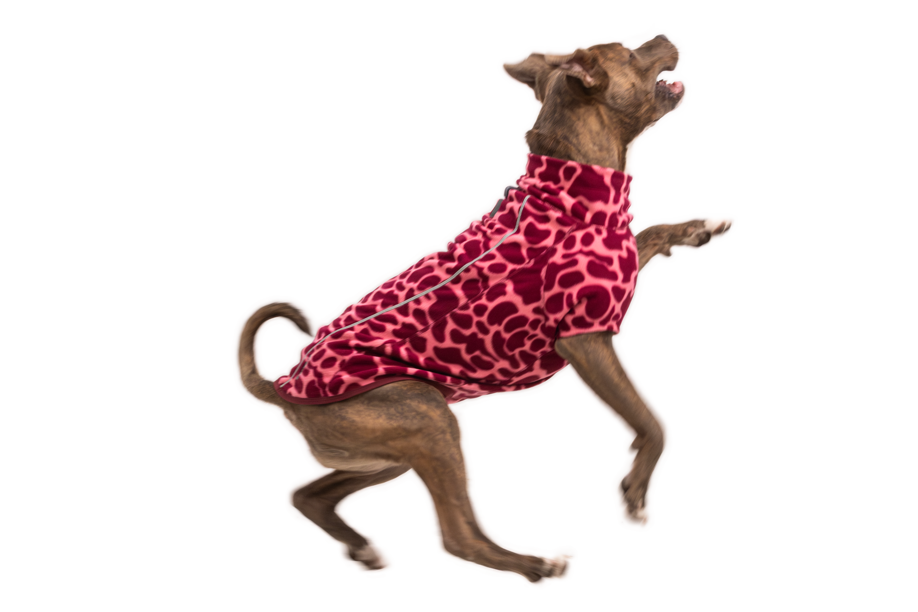 ruffwear-climate-changer-veste-polaire-pour-chien image 8