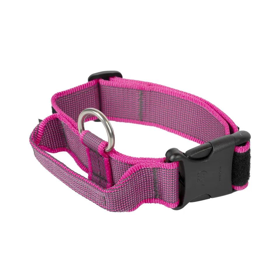 julius-k9-collier-color-gray-avec-poign-e-40-mm-38-53-cm-rose-gris image 1