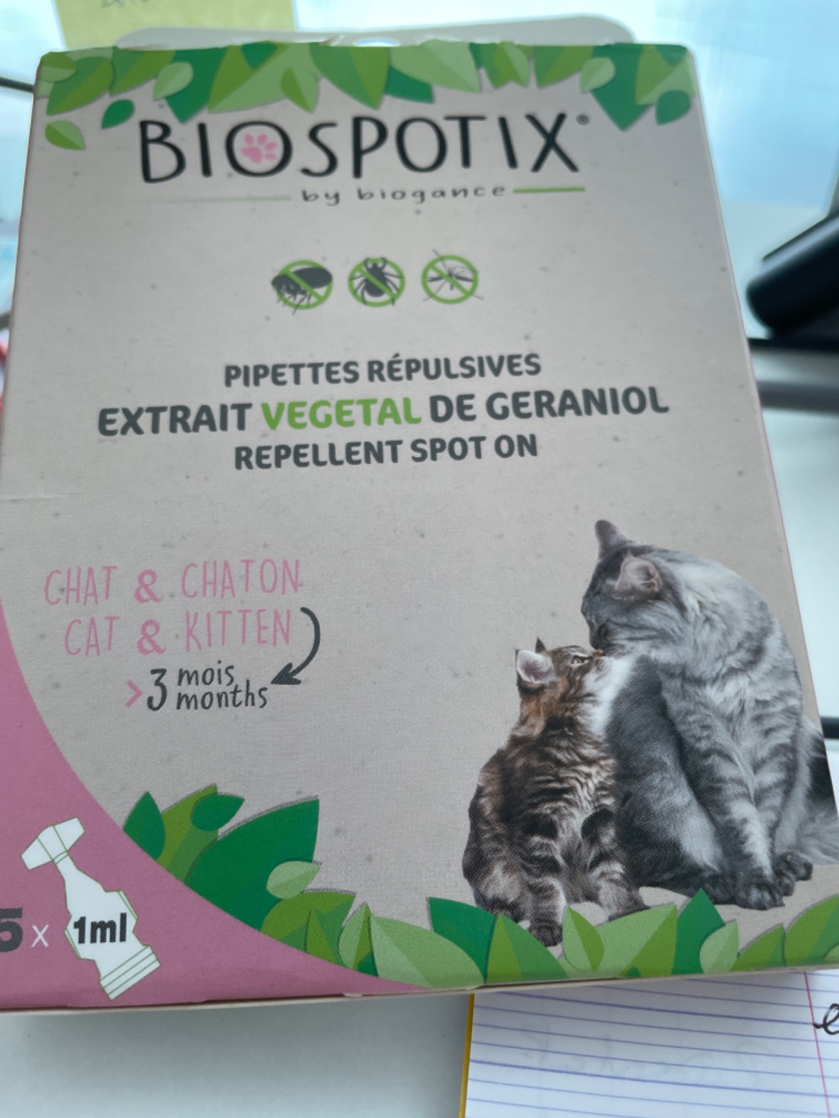 Parfait pour mon chaton