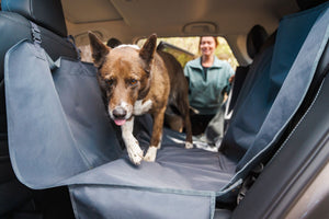ruffwear-dirtbag-housse-si-ge-auto-chien-tanche image 7