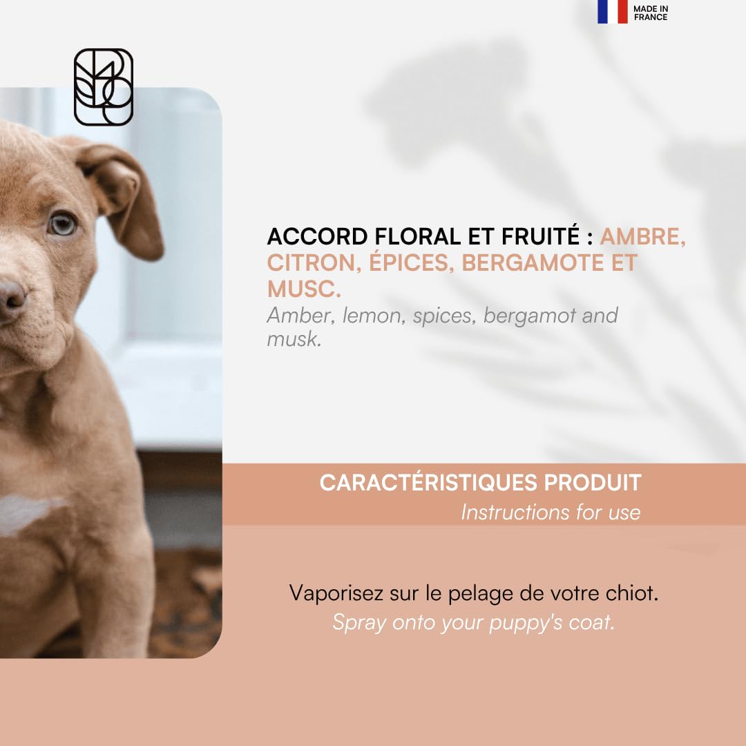 biogance-parfum-orient-sans-alcool-pour-chien-ambre-agrumes image 4