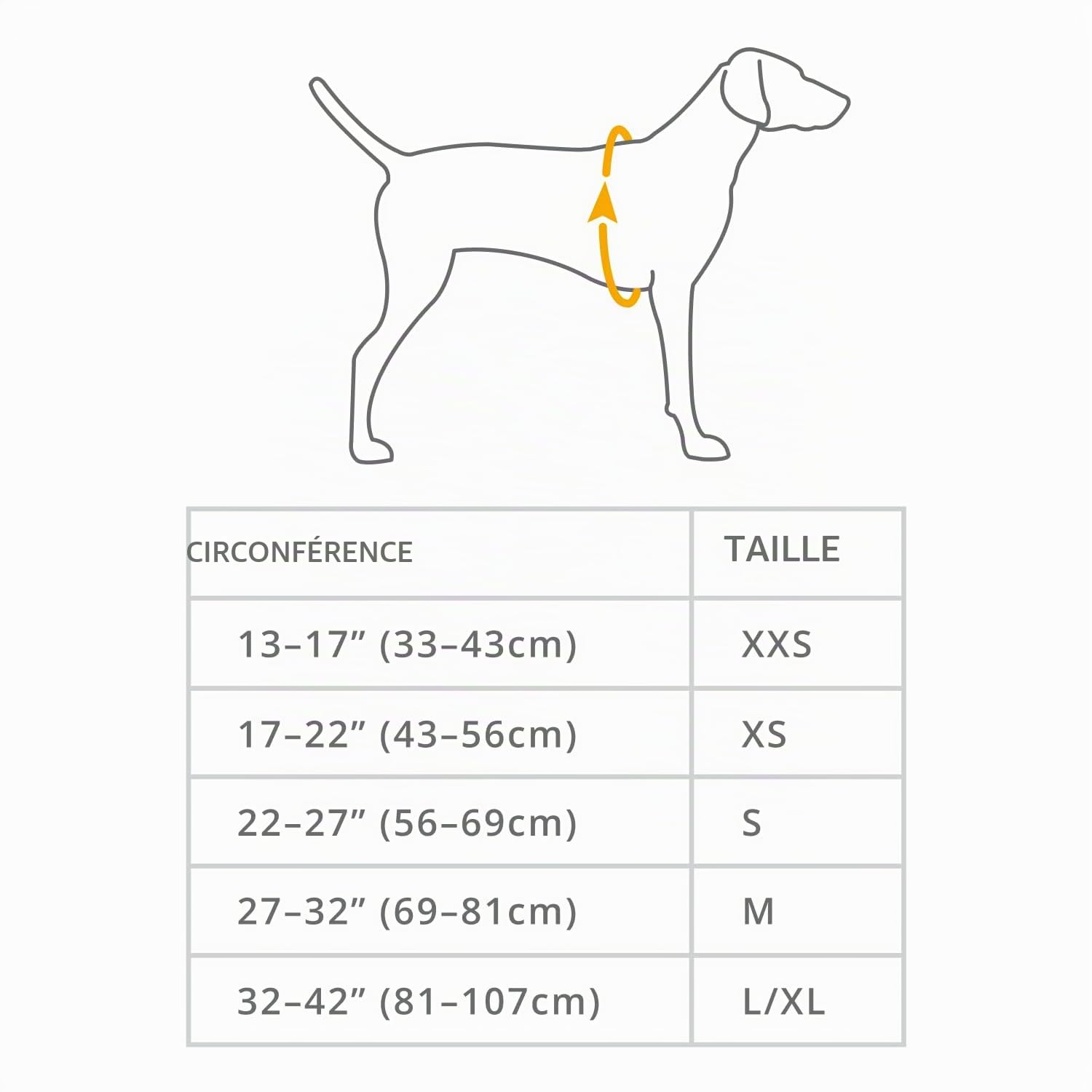 ruffwear-front-range-harnais-chien-xs-red-sumac-r-glable image 4