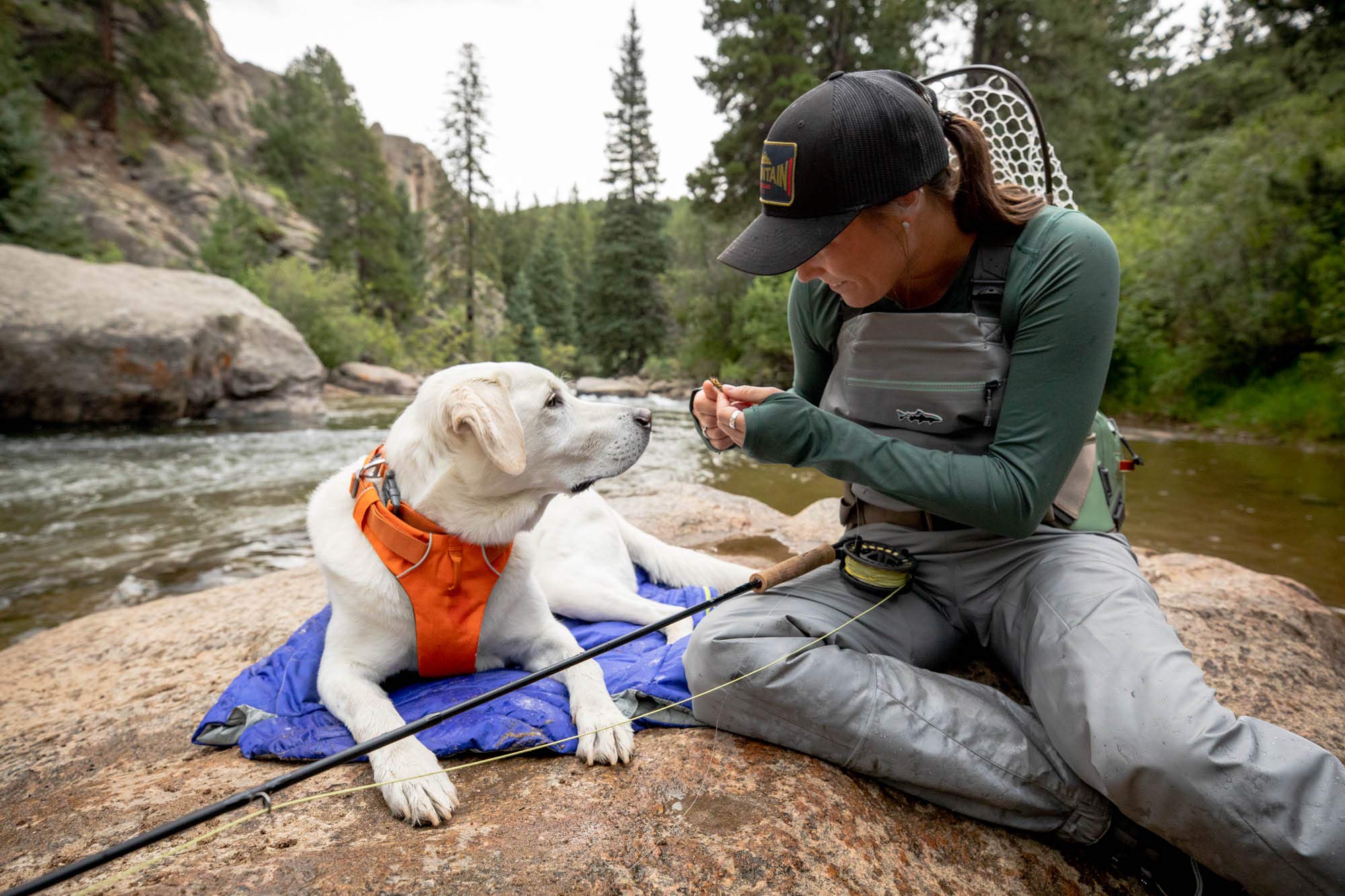 ruffwear-highlands-sac-de-couchage-pour-chien image 6