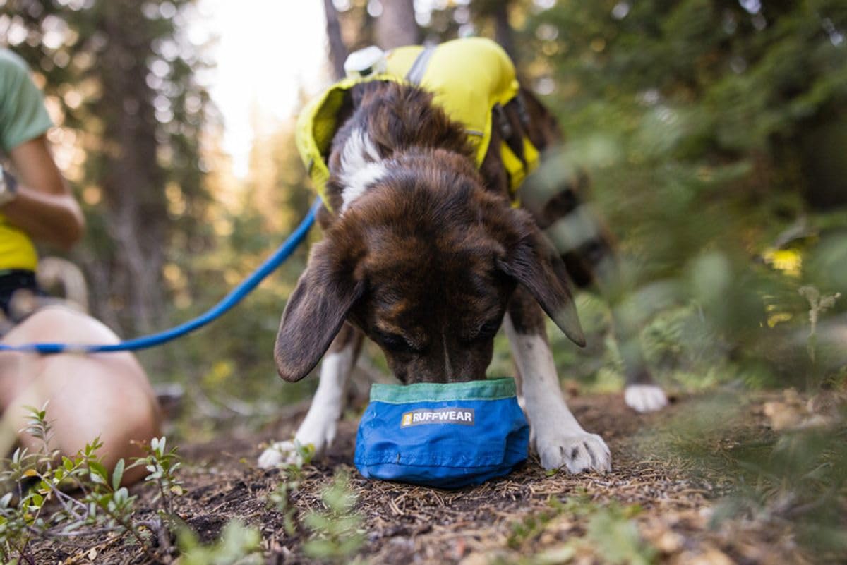 ruffwear-trail-runner-gamelle-de-voyage-pliable-pour-chien-bleu-piscine image 6