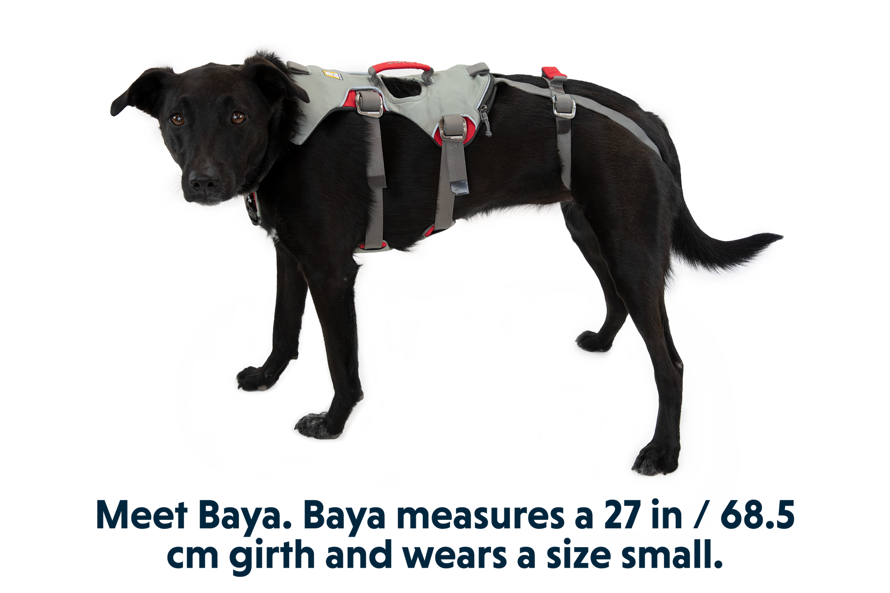 ruffwear-doubleback-harnais-int-gral-escalade-8-9-kn image 2