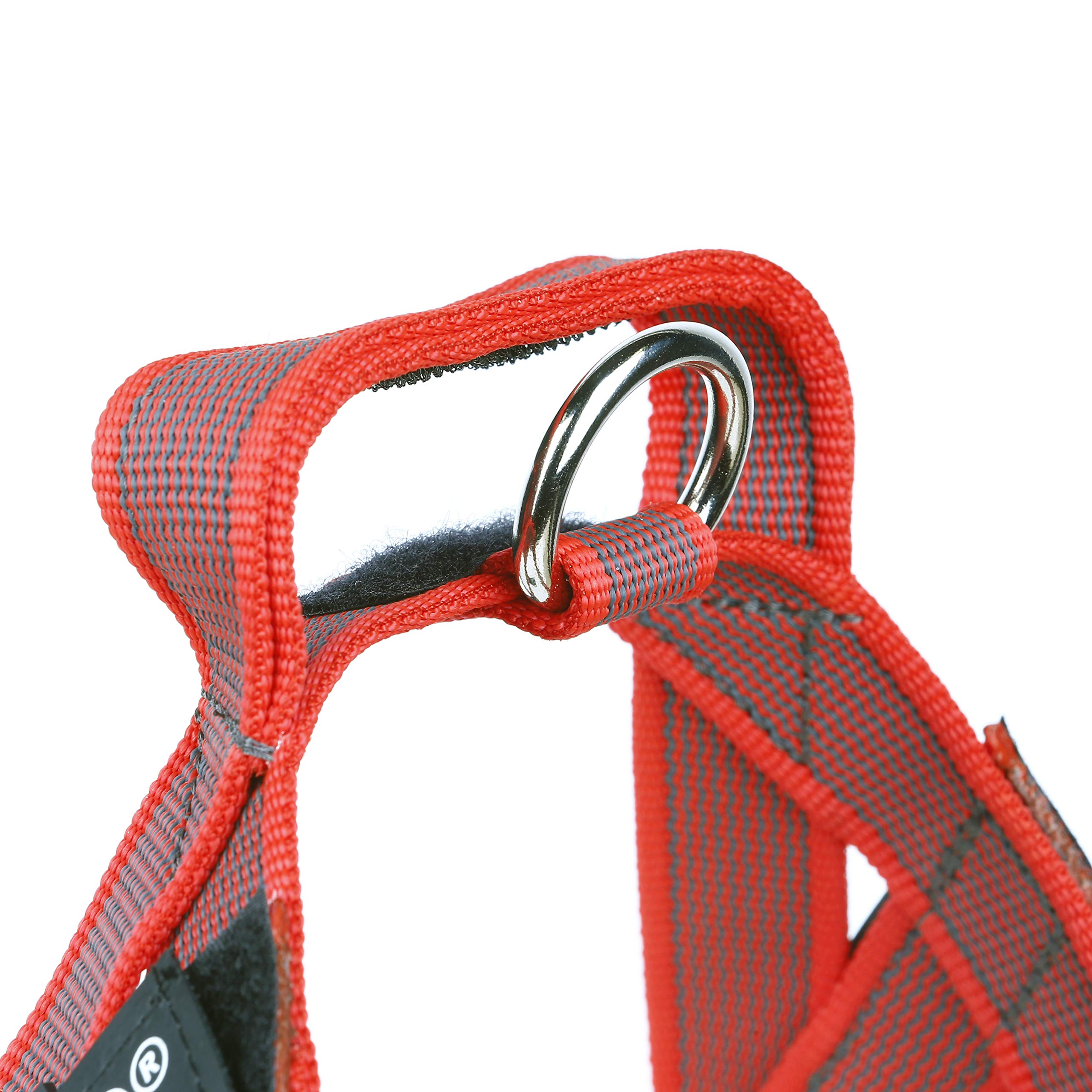 julius-k9-idc-color-gray-harnais-mini-rouge-gris image 5