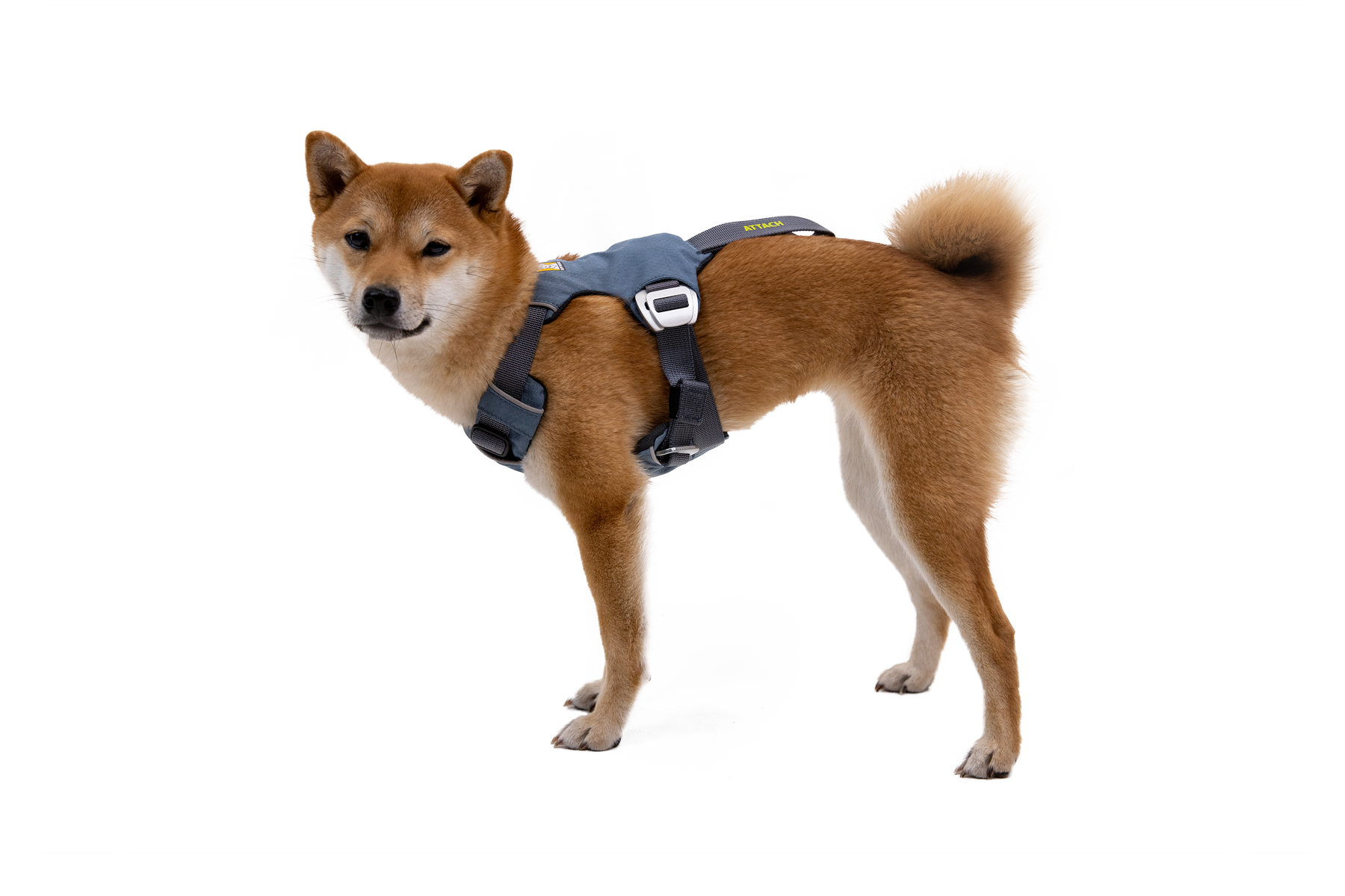 ruffwear-load-up-harnais-voiture-chien image 3