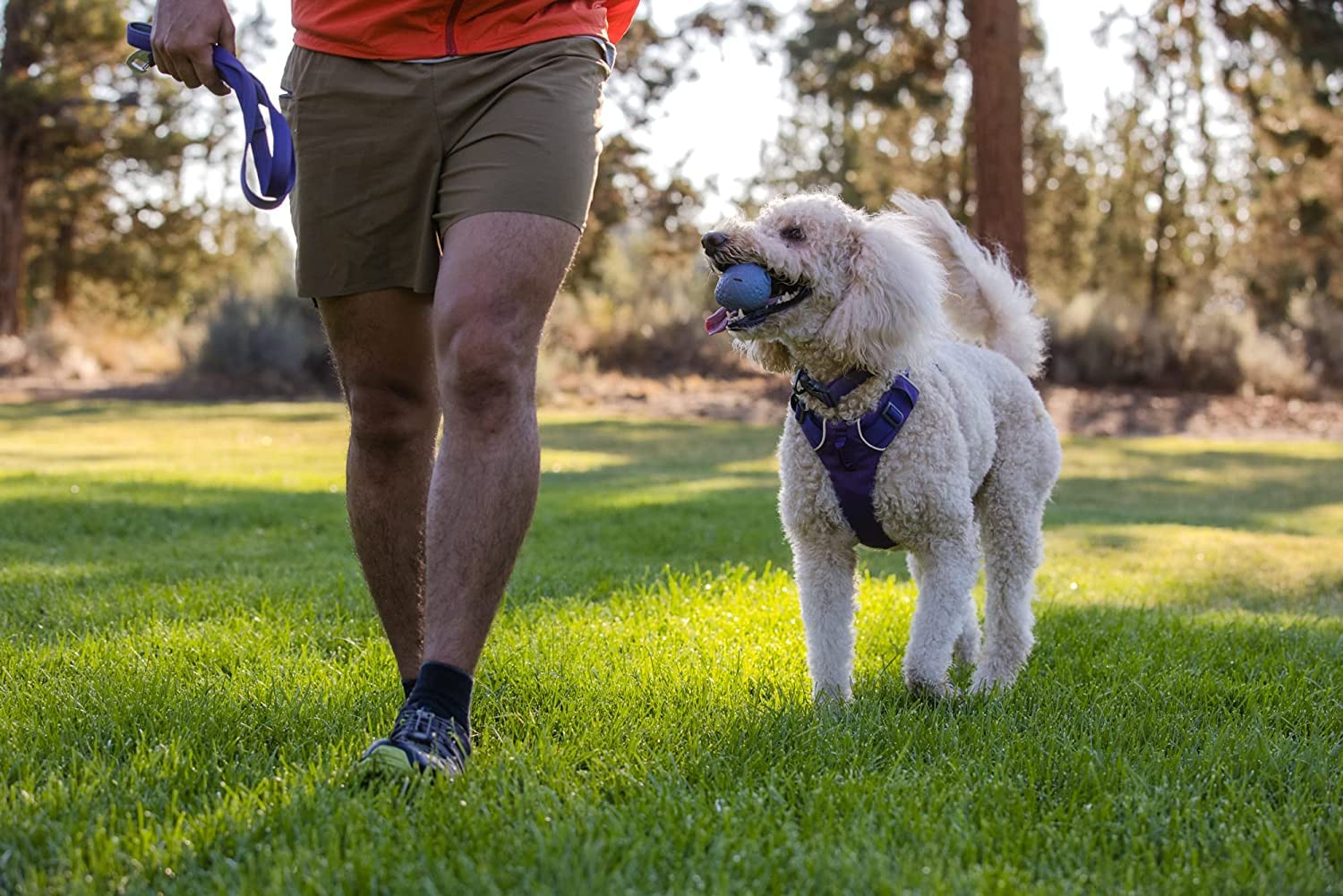ruffwear-turnup-jouet-balle-rebondissante-pour-chien-violet-h-liotrope image 8