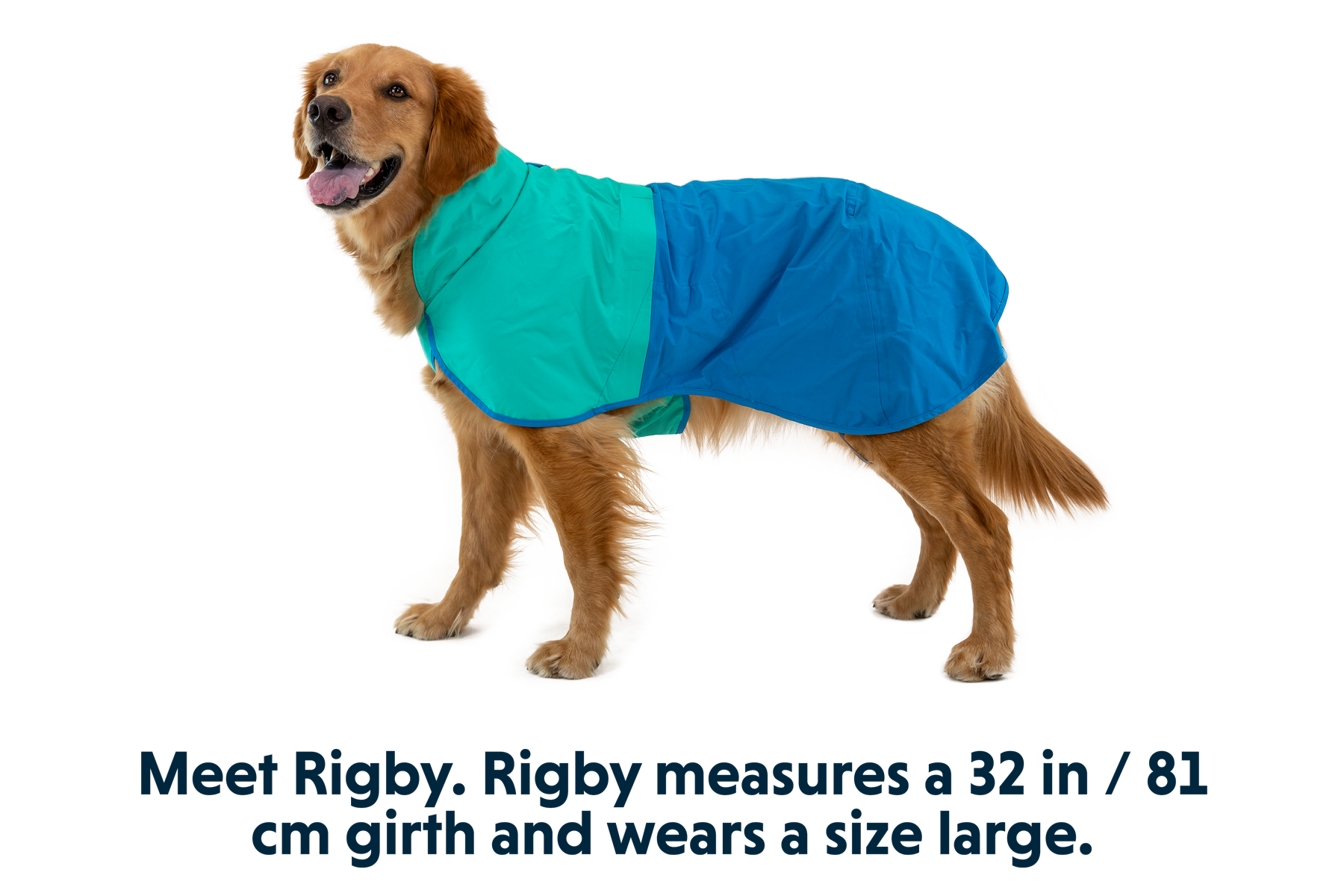 ruffwear-sun-shower-imperm-able-pour-chien image 5