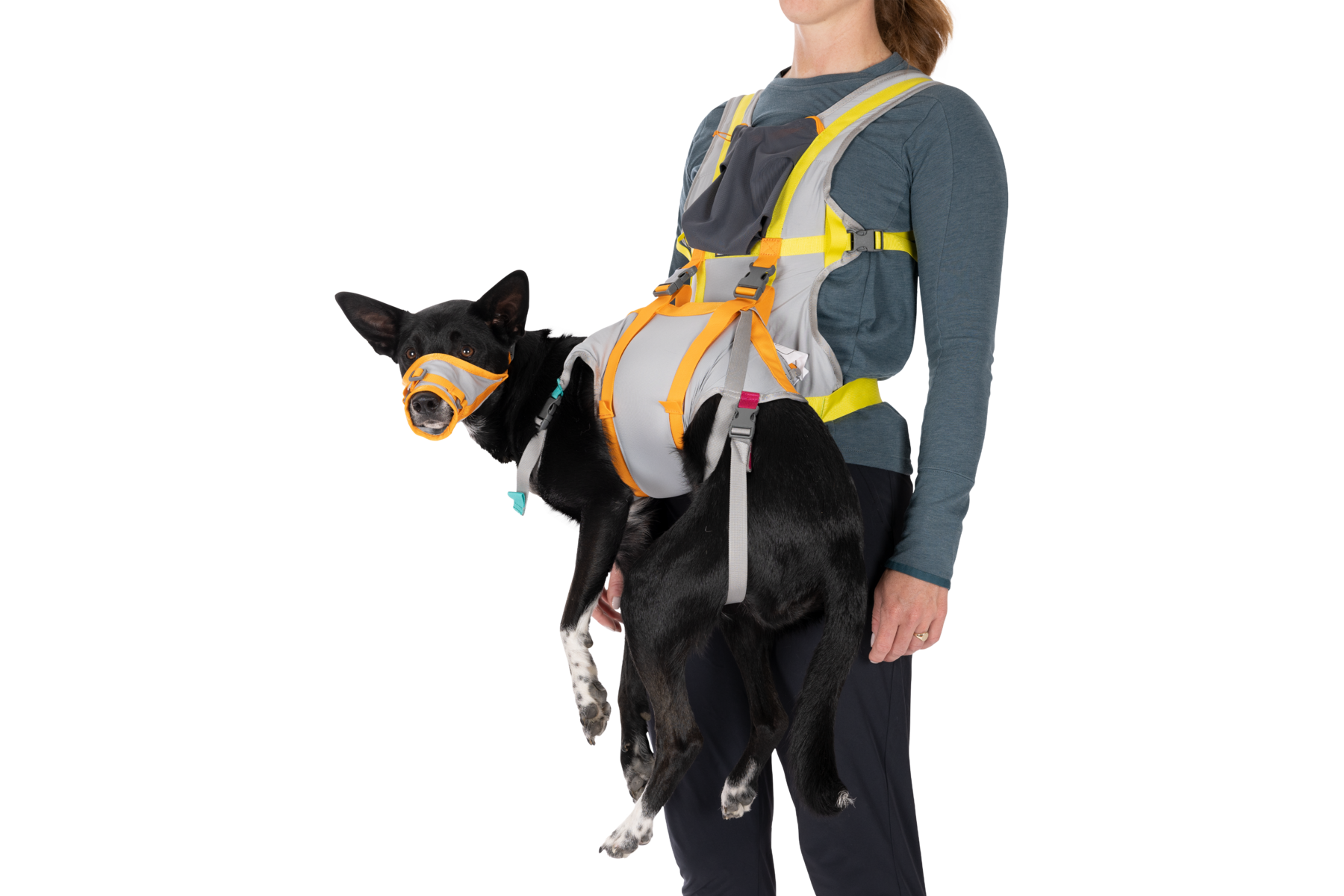 ruffwear-backtrak-kit-d-vacuation-pour-chien-gilet-portage-museli-re image 7