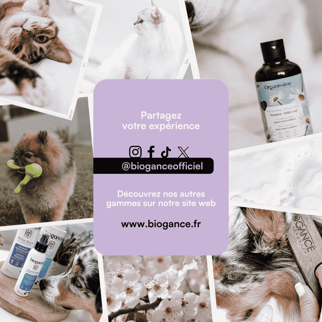 biogance-eau-parfum-e-parisian-vanille-rose-coco-parfum-sans-alcool-chien-et-cha image 6