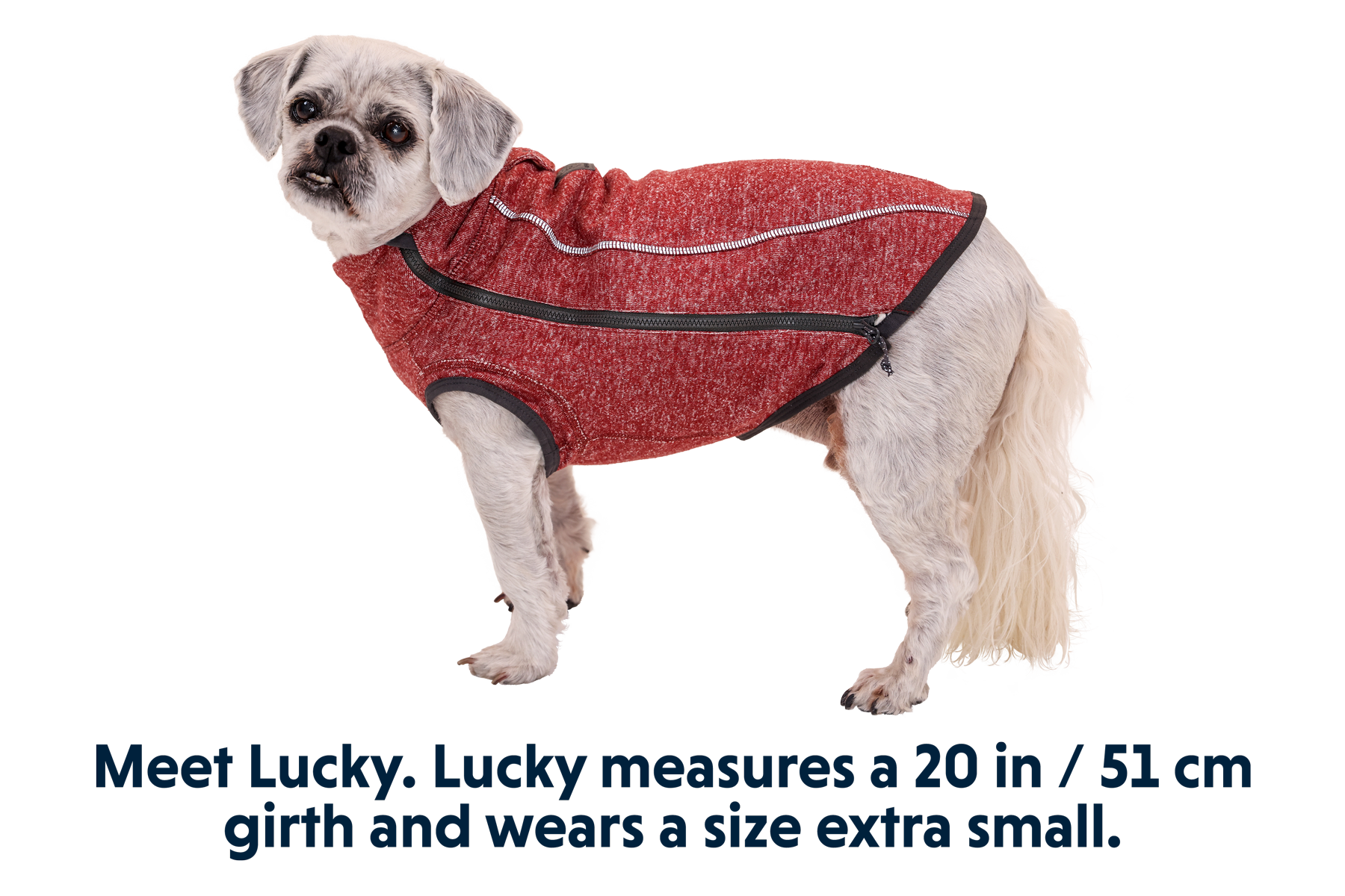 ruffwear-hemp-hound-pull-en-chanvre-pour-chien image 3