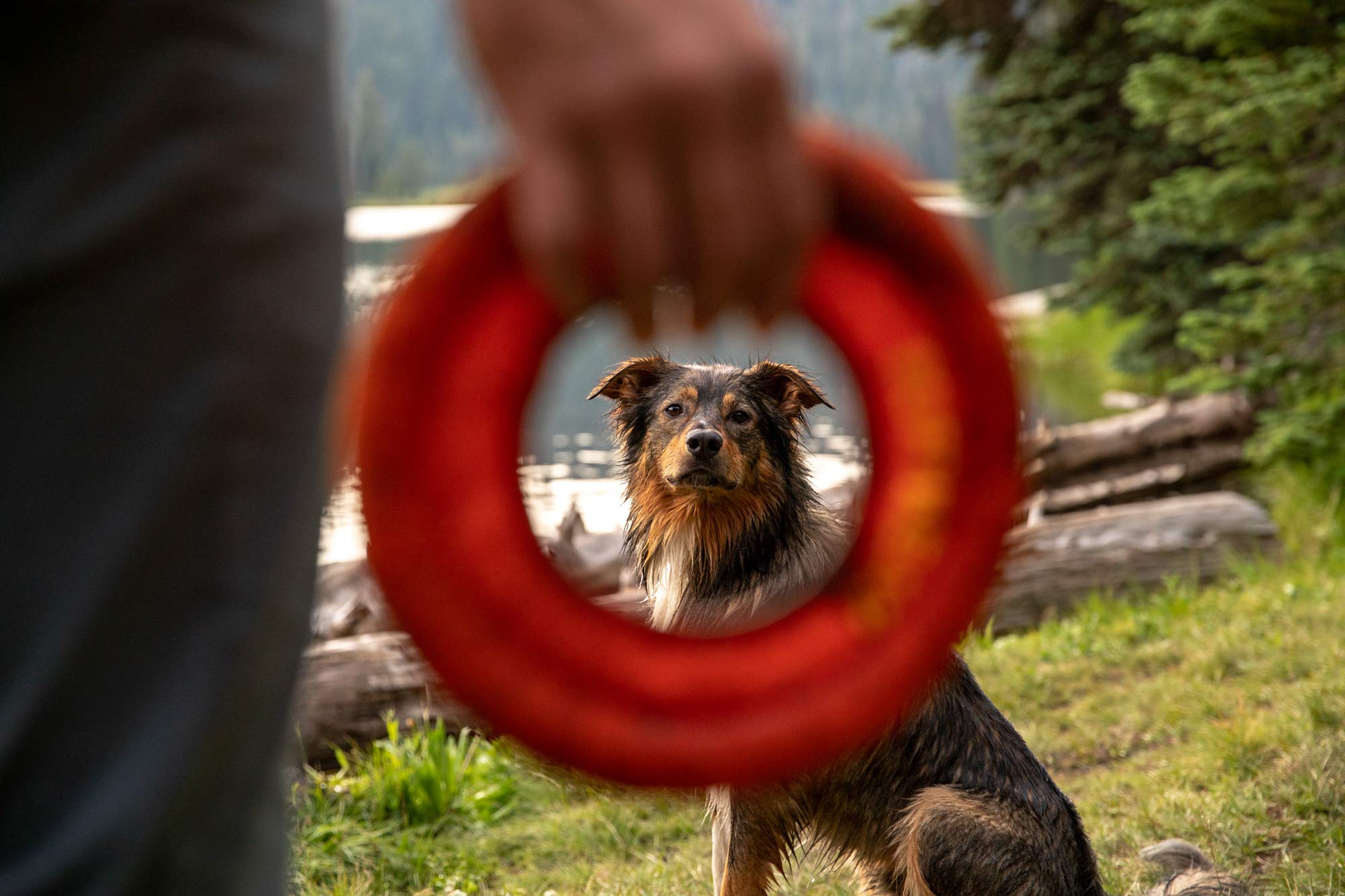 ruffwear-hydro-plane-disque-volant-flottant-taille-m-bleu-biolumin image 8