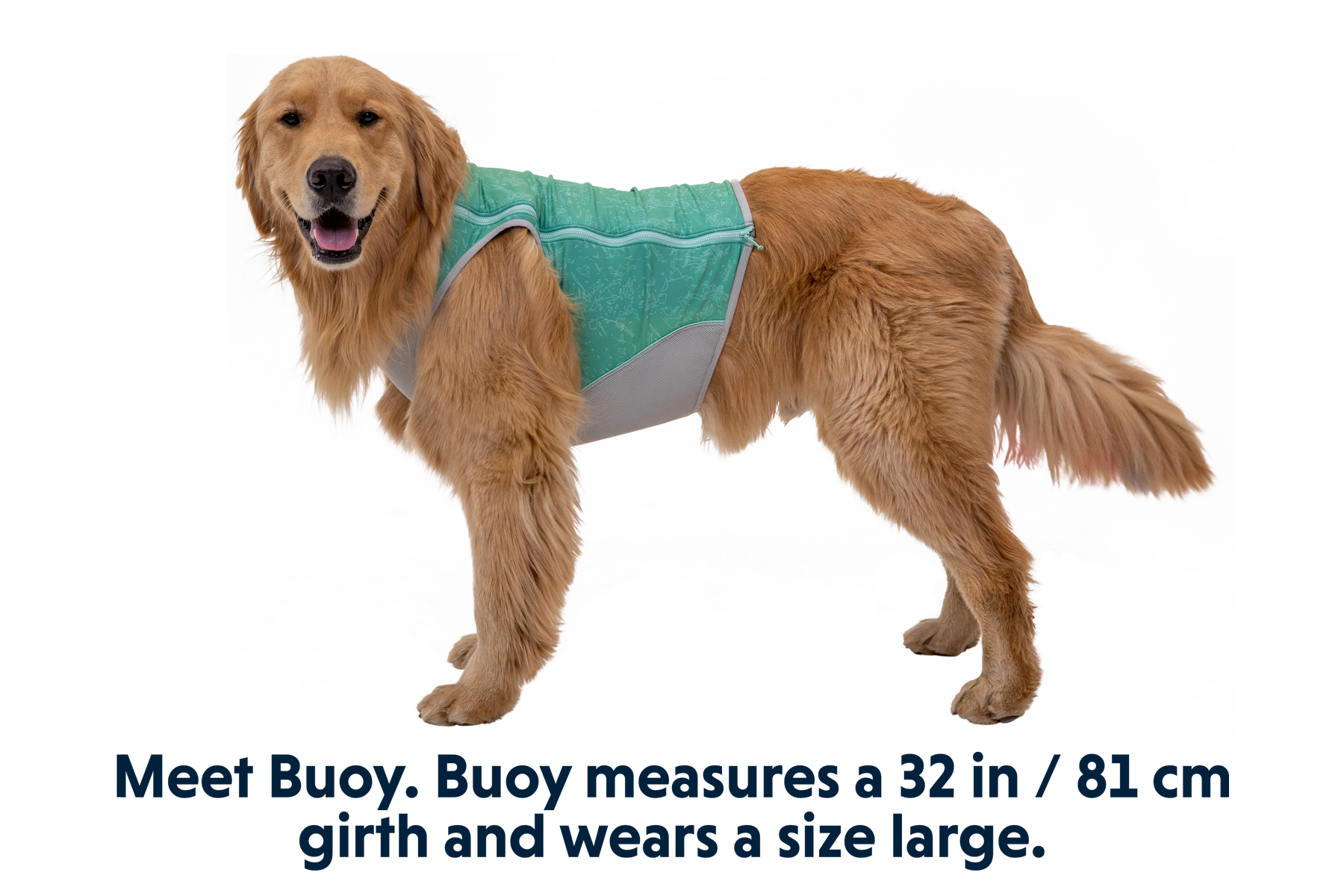 ruffwear-swamp-cooler-zip-gilet-rafra-chissant-l-ger-chien-sportif image 4