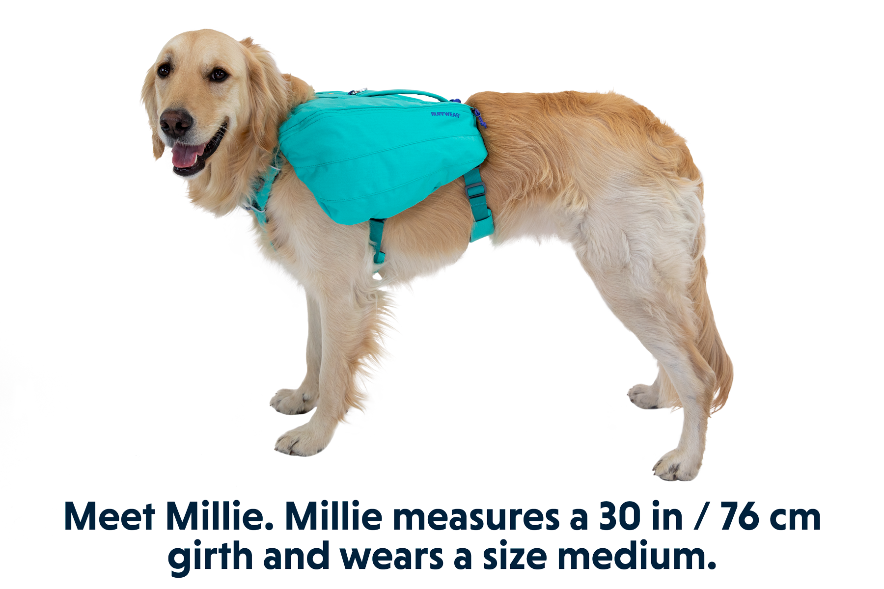 ruffwear-front-range-day-pack-sac-dos-chien-harnais-int-gr image 4