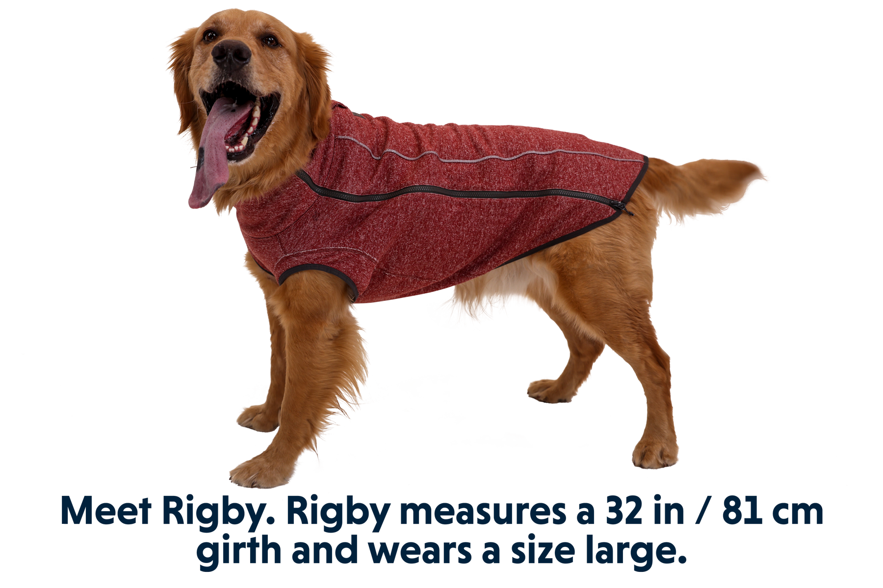 ruffwear-hemp-hound-pull-en-chanvre-pour-chien image 8