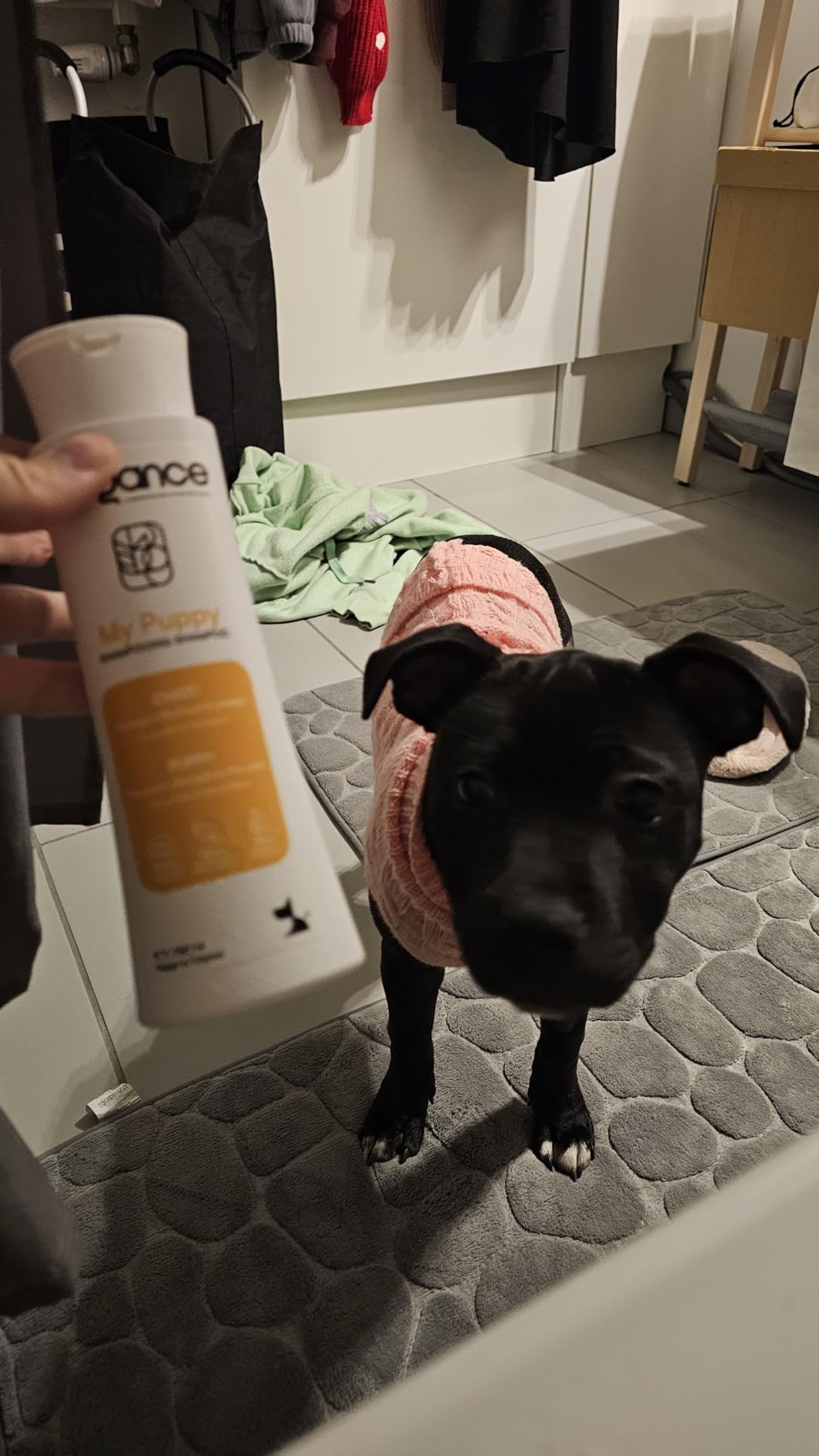 Parfait pour mon chiot