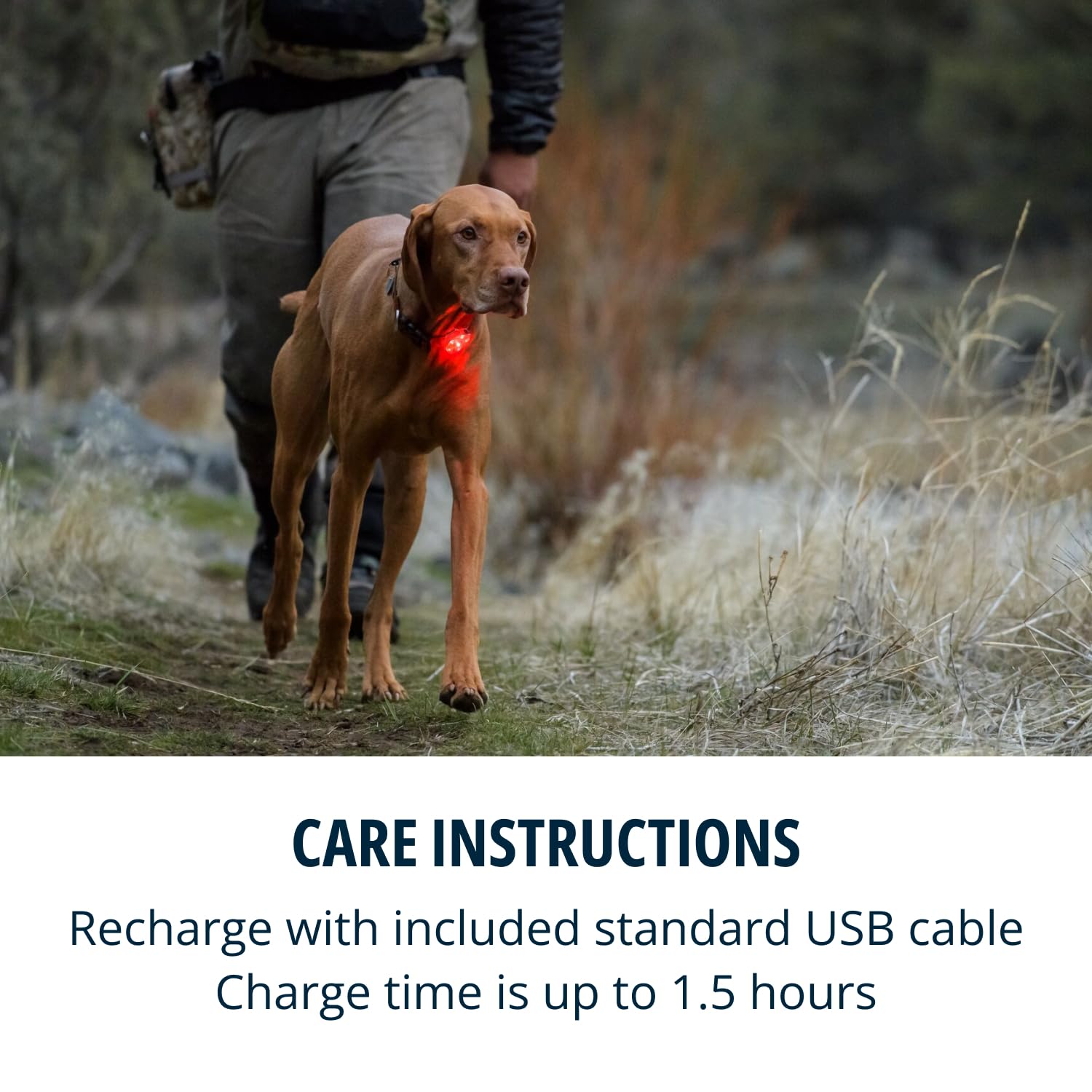 ruffwear-the-beacon-lampe-de-s-curit-led-pour-chien-clear-lake image 4