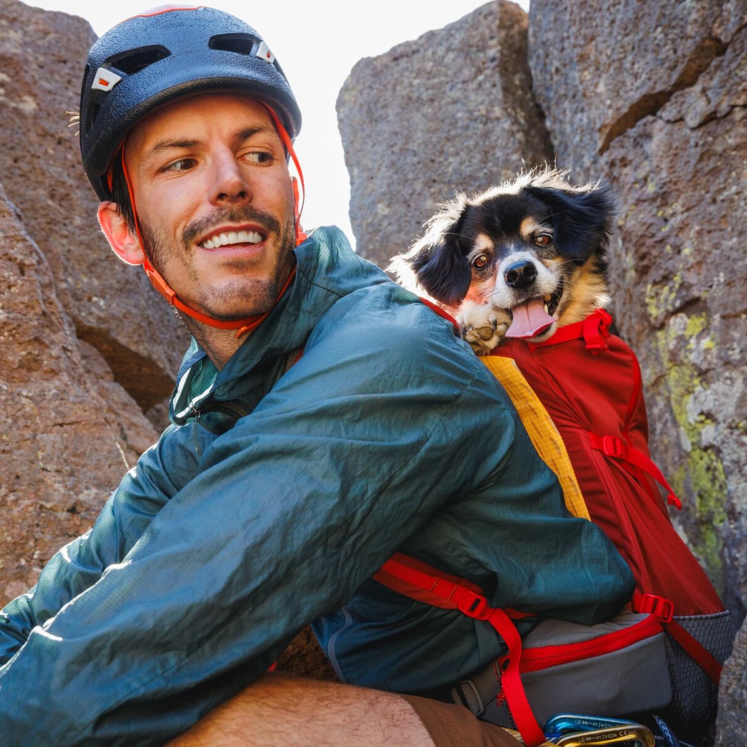 ruffwear-hitch-hiker-sac-dos-de-transport-pour-chien-small-river-rock-green image 4