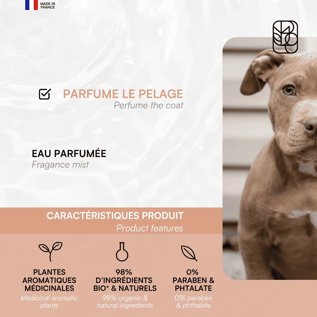biogance-parfum-orient-sans-alcool-pour-chien-ambre-agrumes image 3