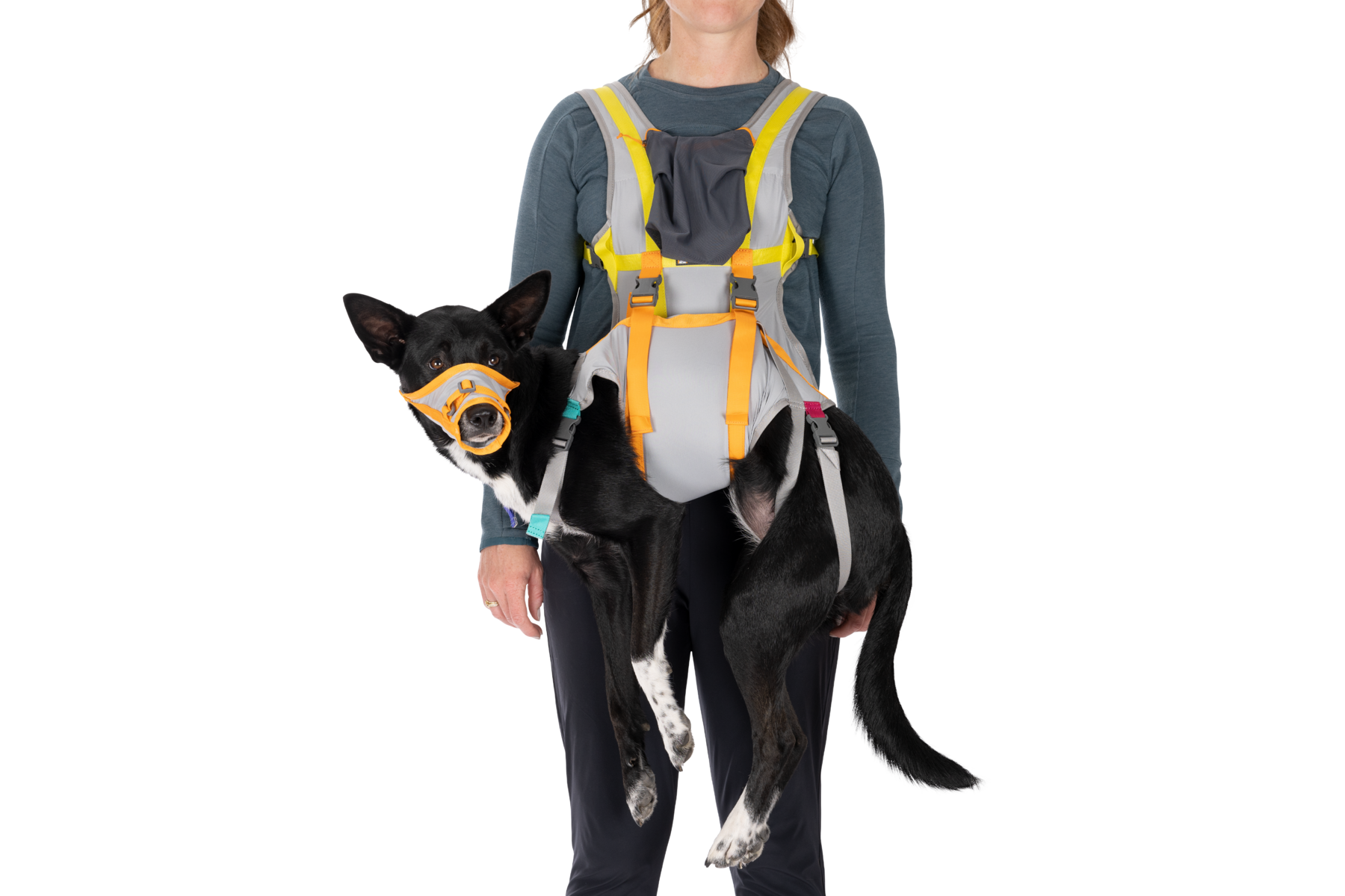 ruffwear-backtrak-kit-d-vacuation-pour-chien-gilet-portage-museli-re image 1