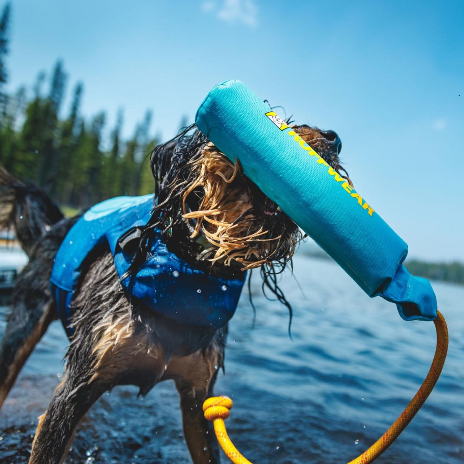 ruffwear-lunker-jouet-flottant-chien-medium-tangelo-orange image 4