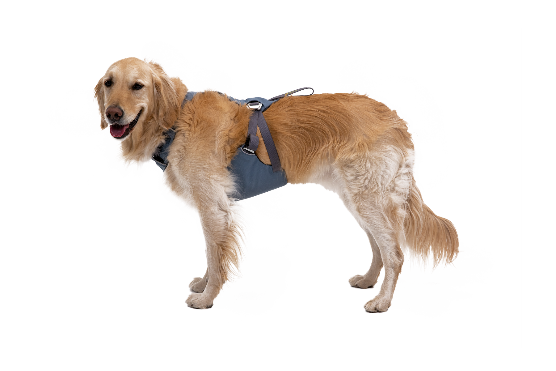 ruffwear-load-up-harnais-voiture-chien image 2