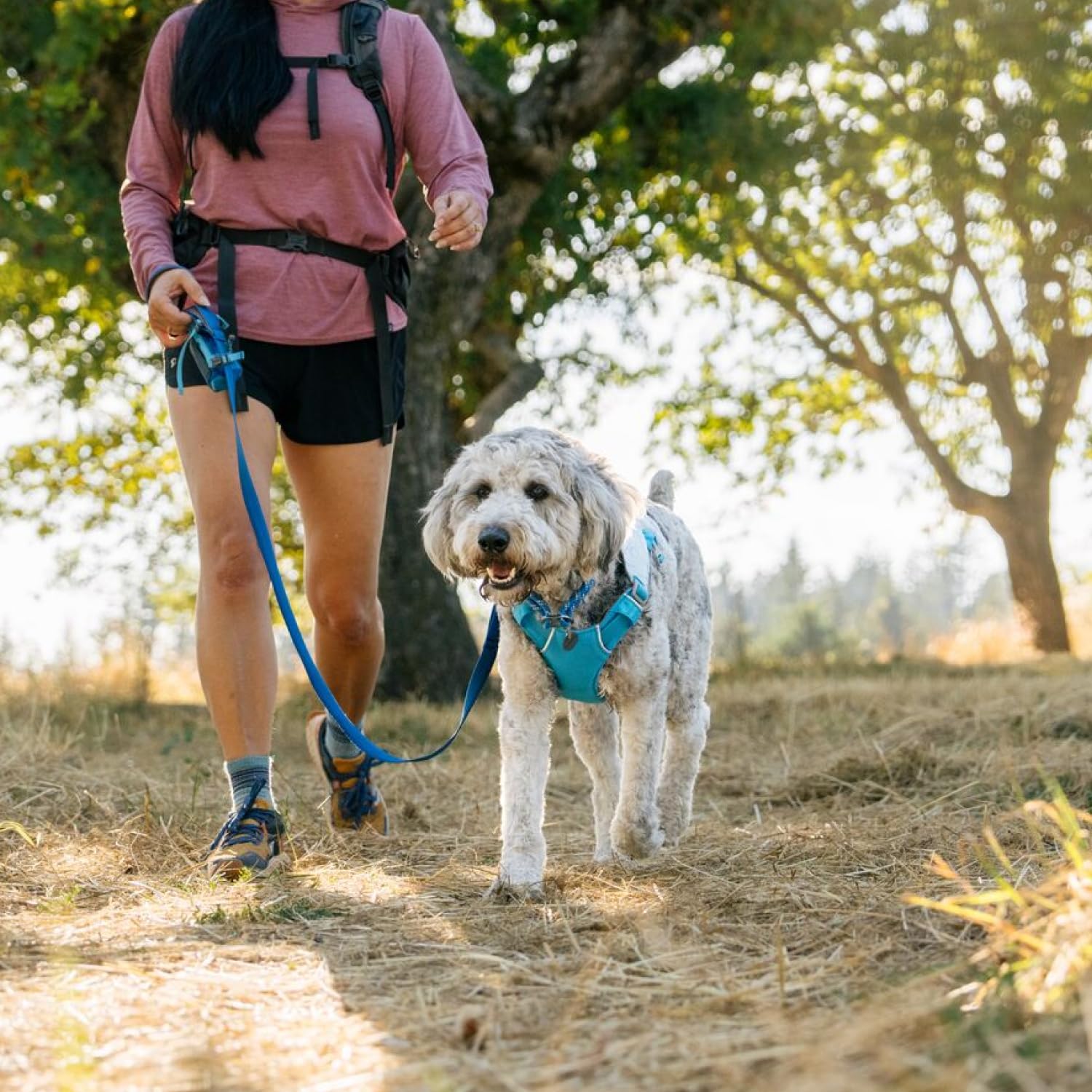 ruffwear-swamp-cooler-harnais-rafra-chissant-chien-biolumin-blue-xx-small-33-43- image 5