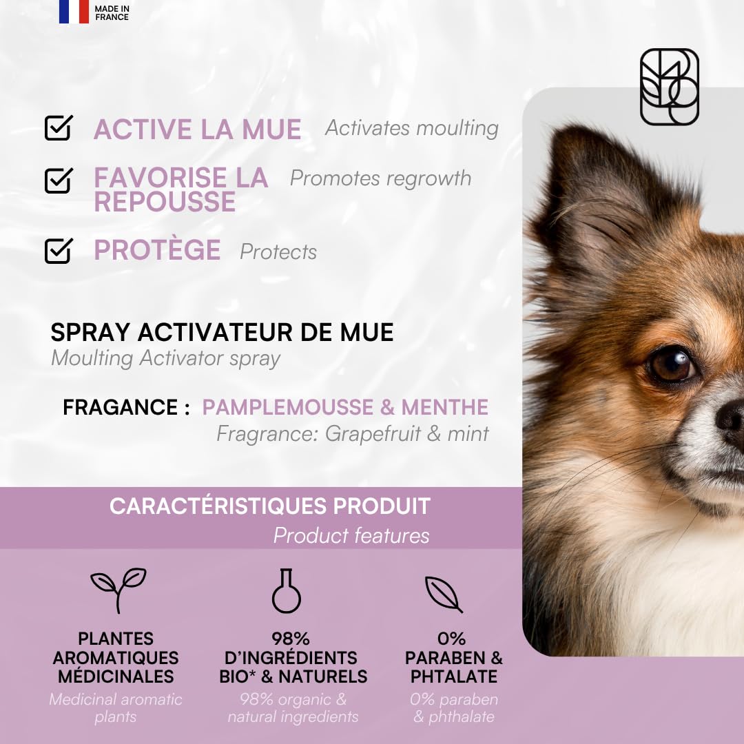 biogance-algo-activ-spray-activateur-de-mue-chien-et-chat-250-ml image 3