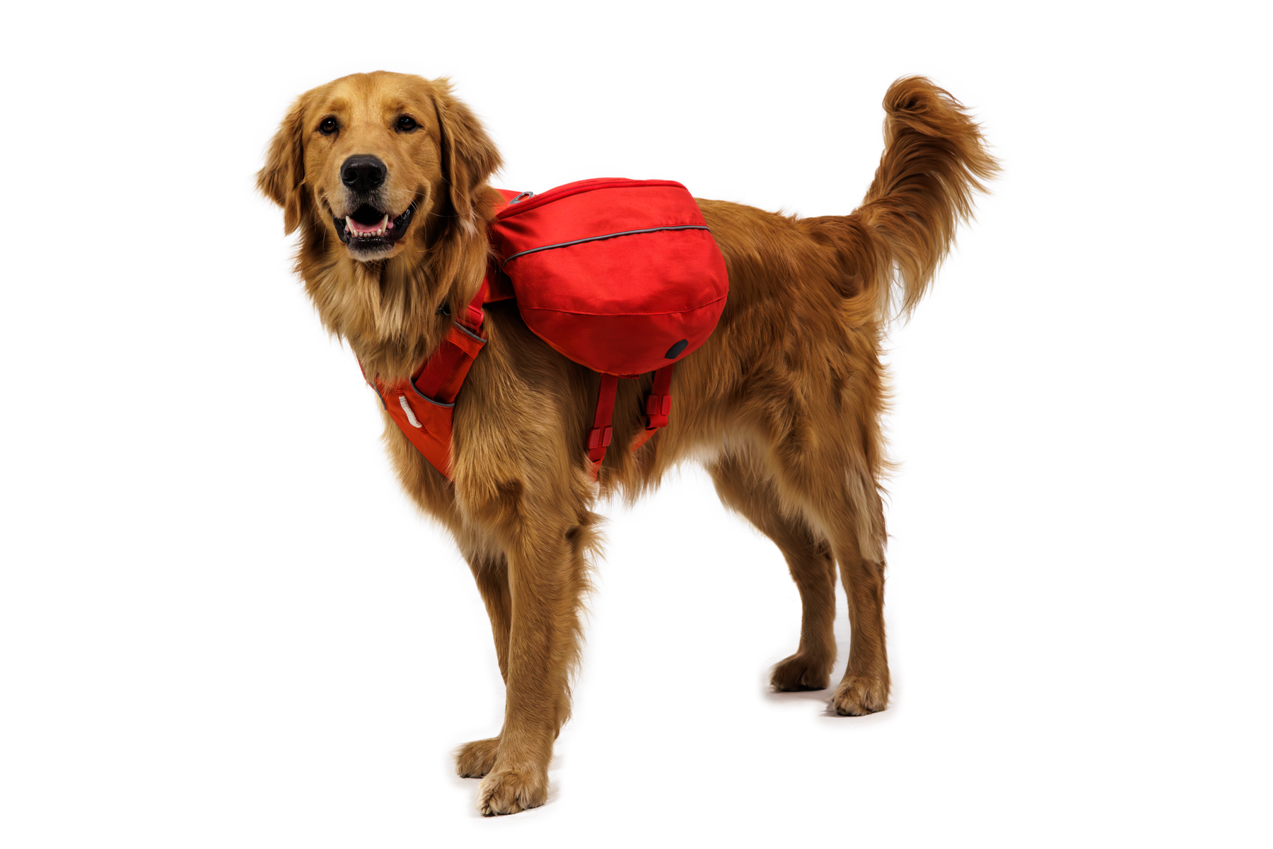 ruffwear-palisades-pack-sac-dos-grand-trek-amovible image 7