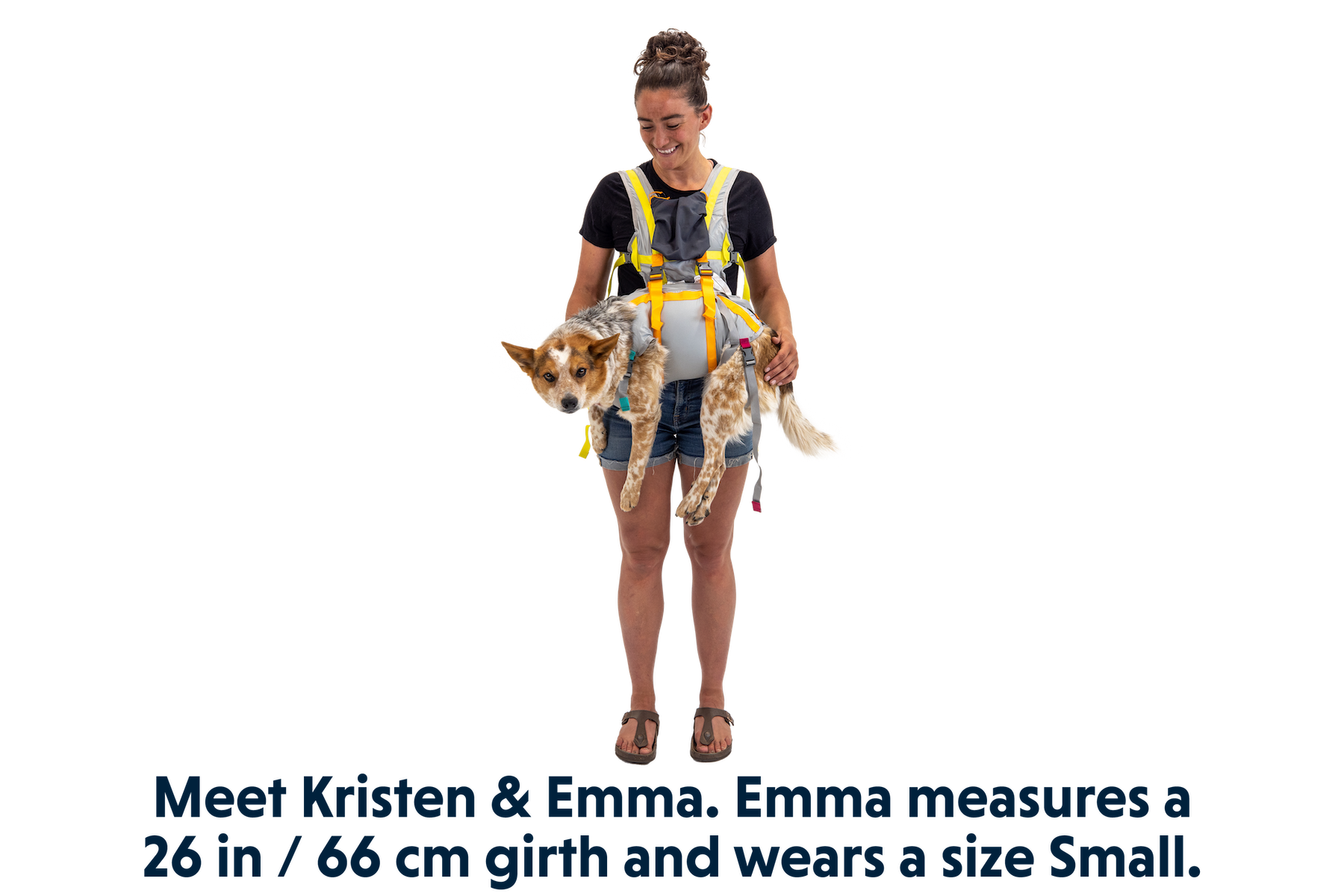 ruffwear-backtrak-kit-d-vacuation-pour-chien-gilet-portage-museli-re image 8