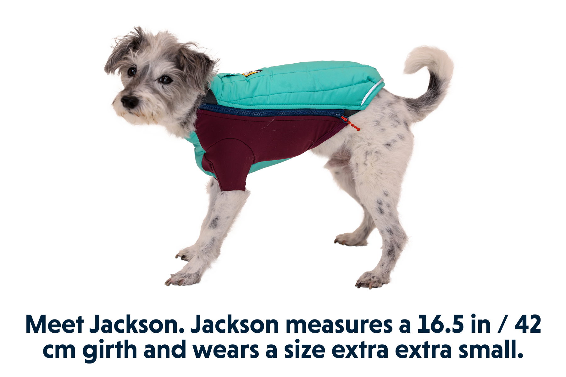 ruffwear-powder-hound-manteau-chien-hiver image 8