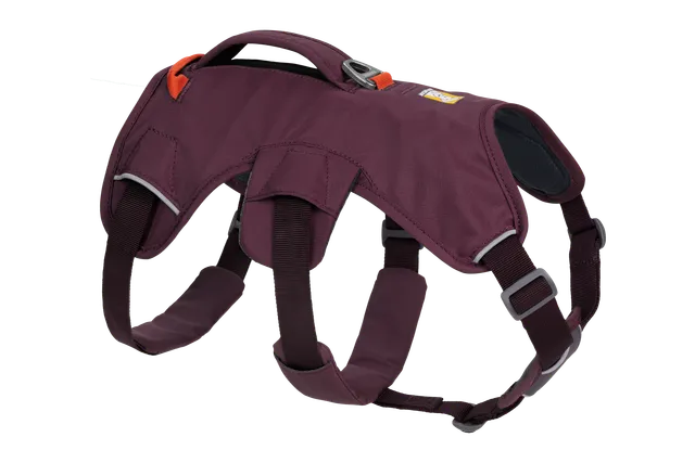 ruffwear-web-master-harnais-pour-chien-avec-poign-e image 1